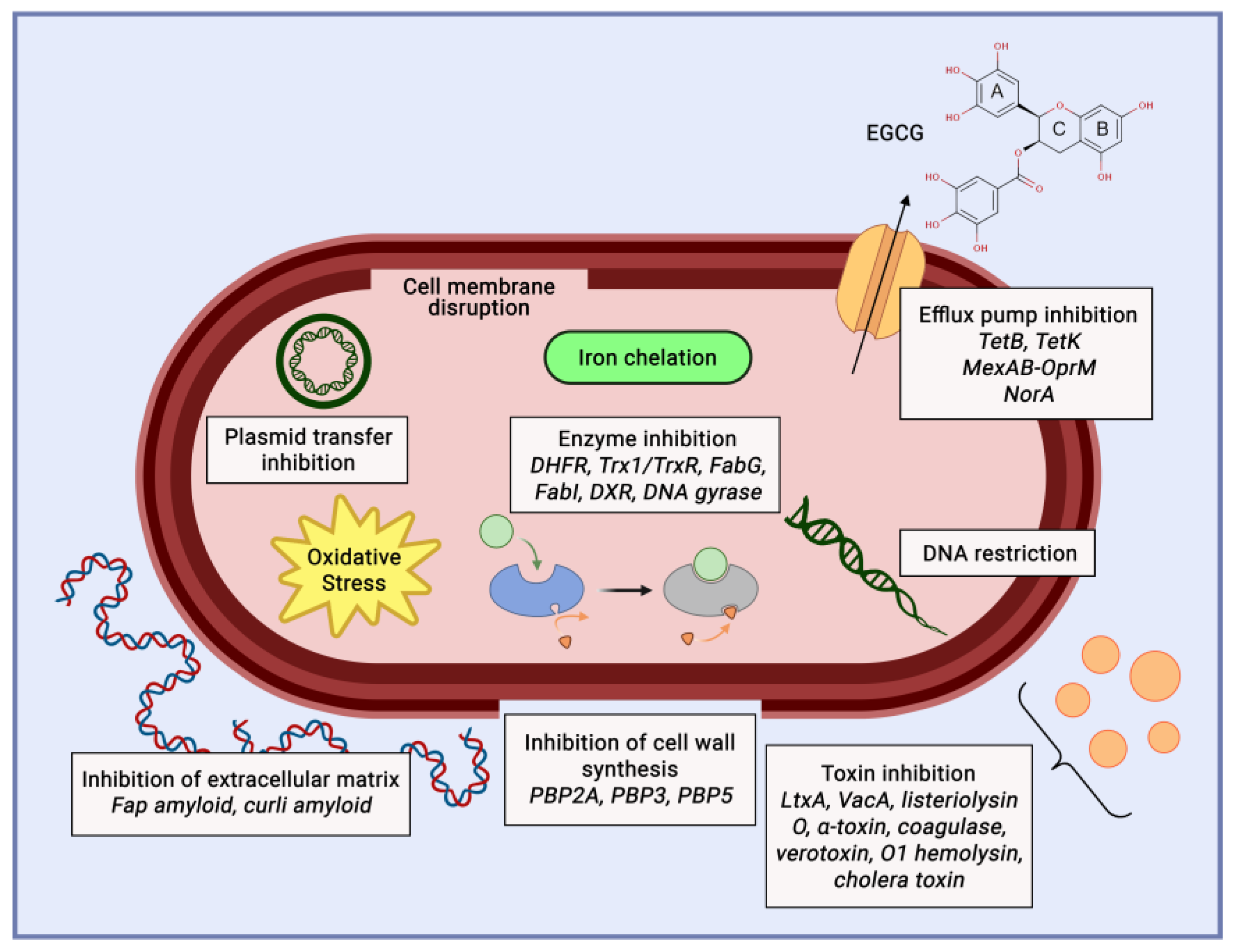 Cosmetics 11 00023 g008