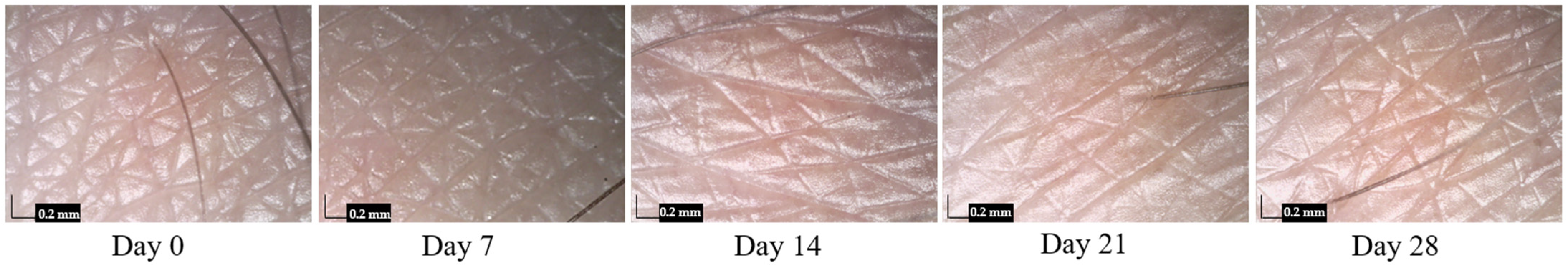 Cosmetics 11 00024 g005