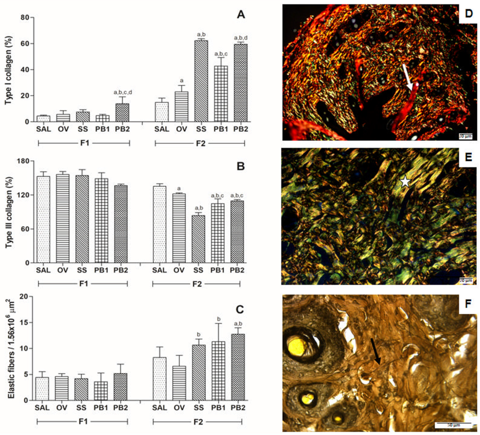 Cosmetics 11 00027 g002 Cosmetics 11 00027 g002