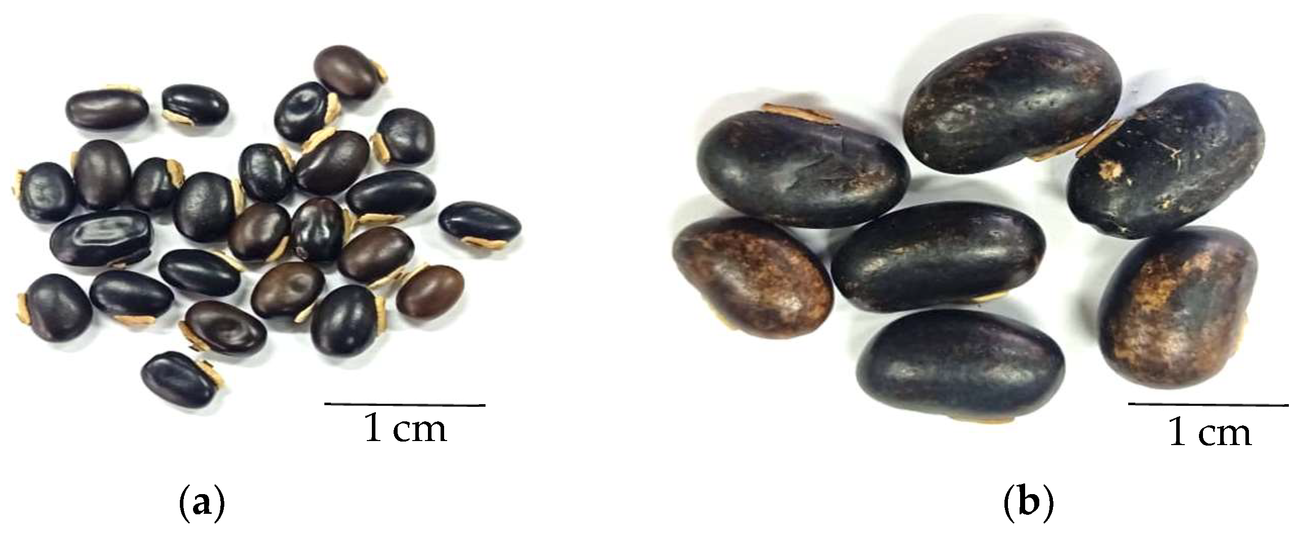 Cosmetics 11 00029 g001