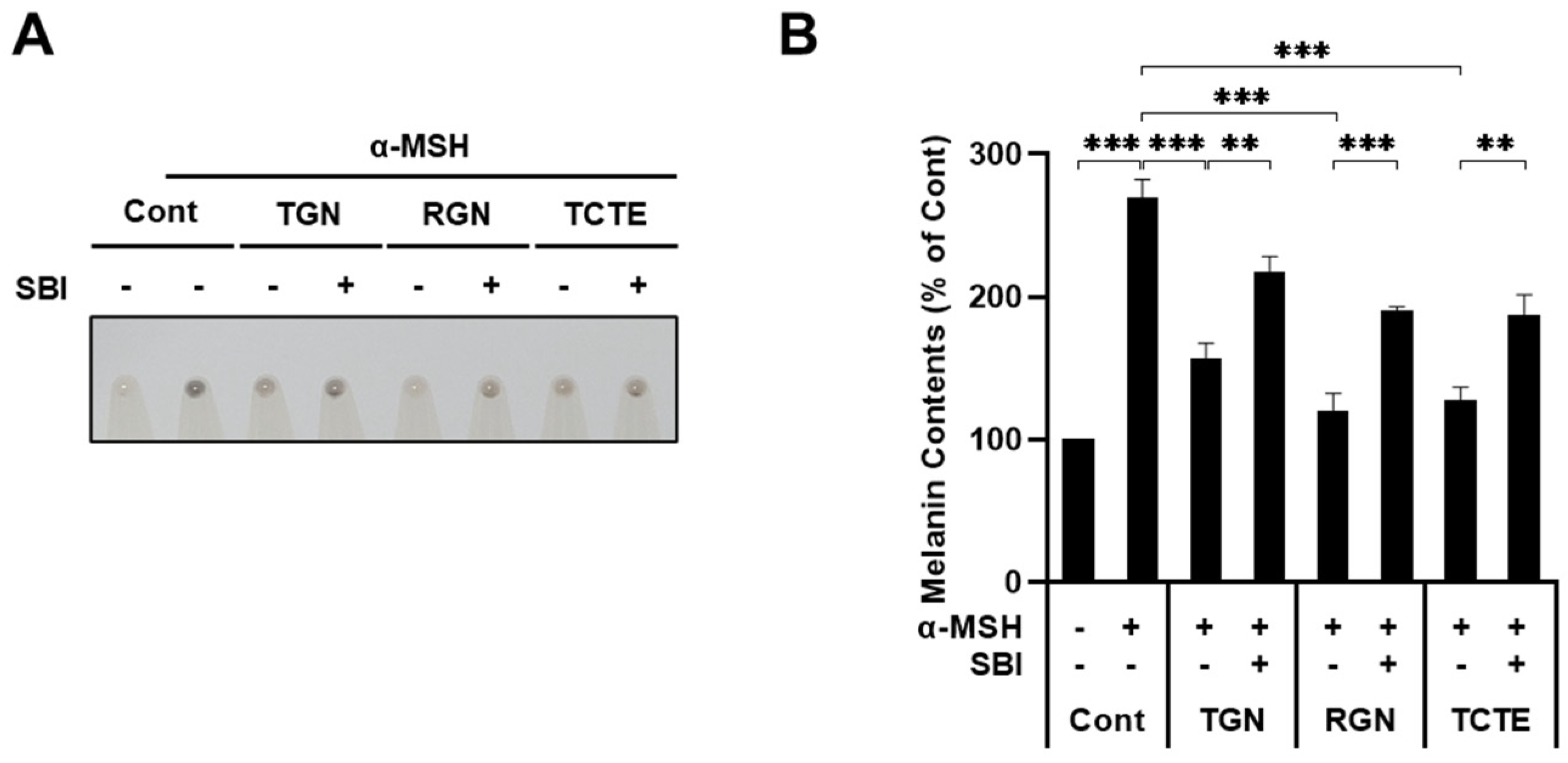 Cosmetics 11 00035 g004