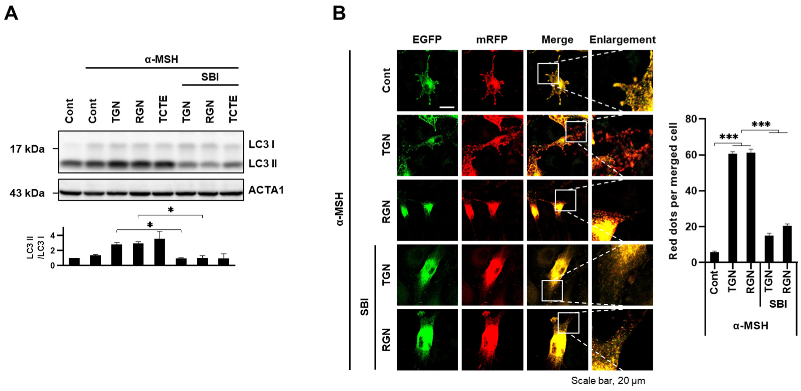 Cosmetics 11 00035 g005