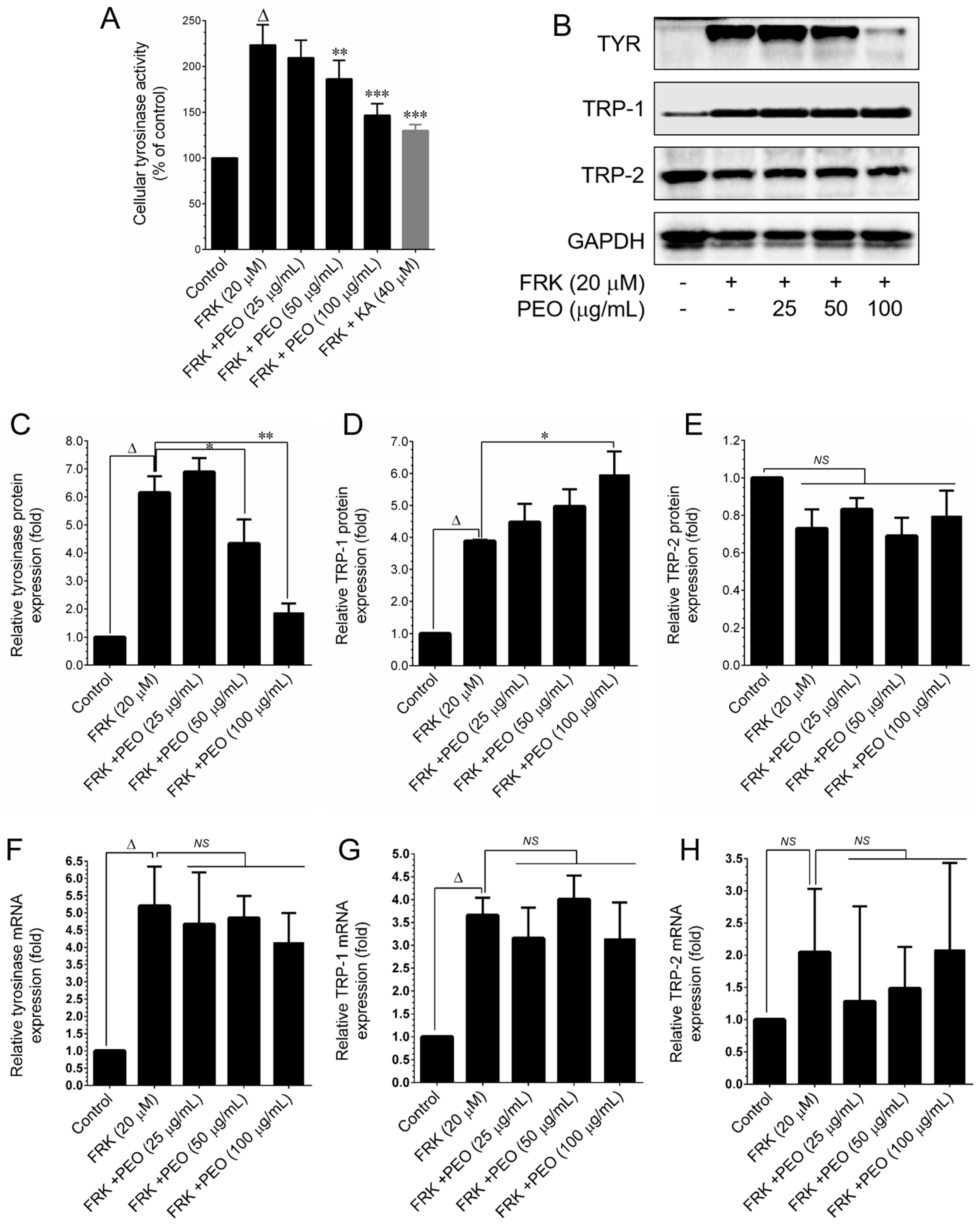 Cosmetics 11 00038 g002