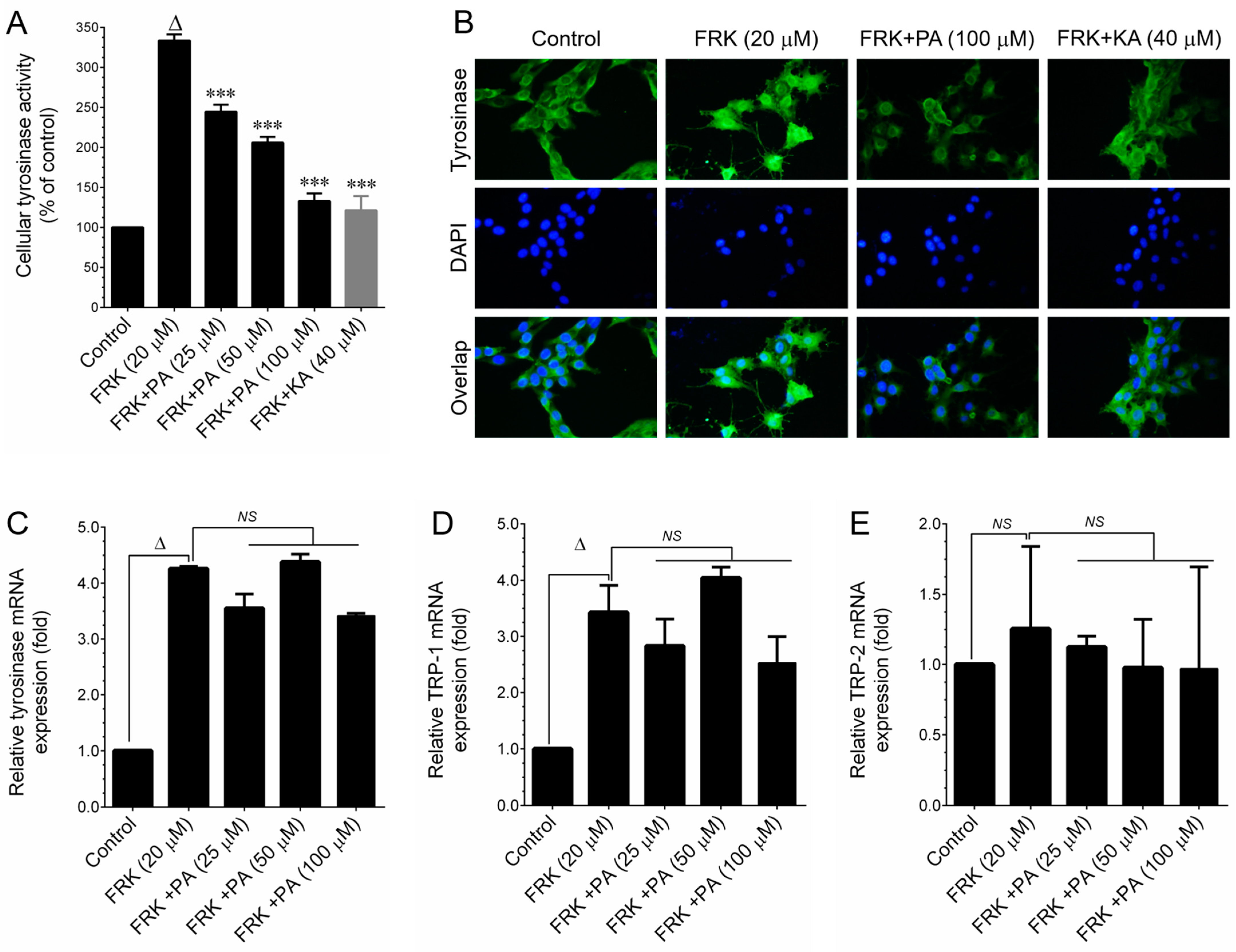 Cosmetics 11 00038 g005