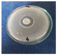 Cosmetics 11 00040 i004