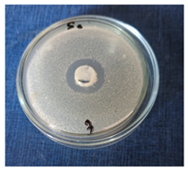 Cosmetics 11 00040 i007