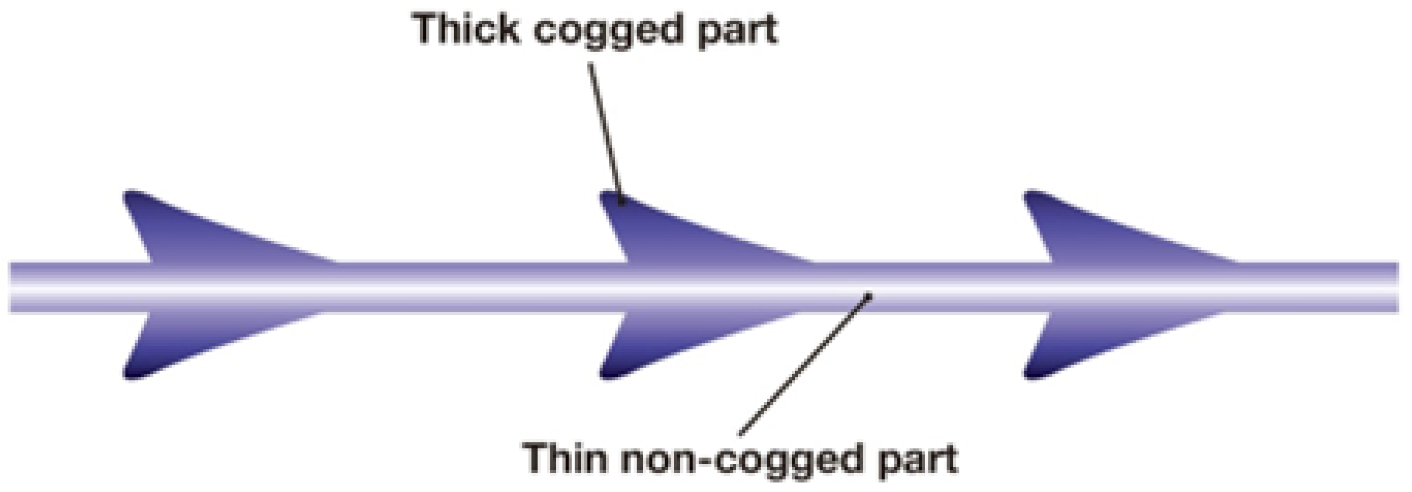 Cosmetics 11 00042 g008