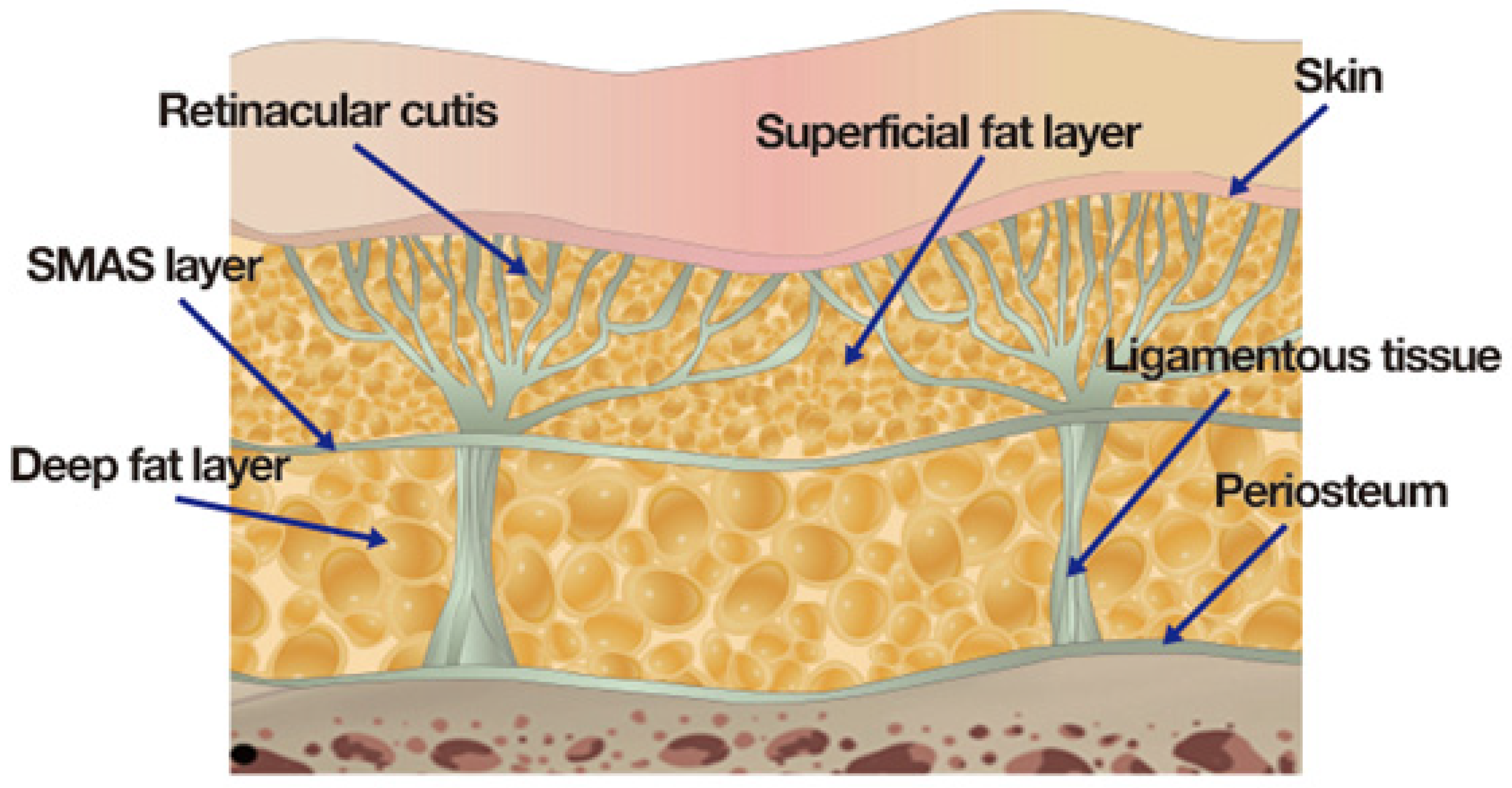 Cosmetics 11 00042 g015