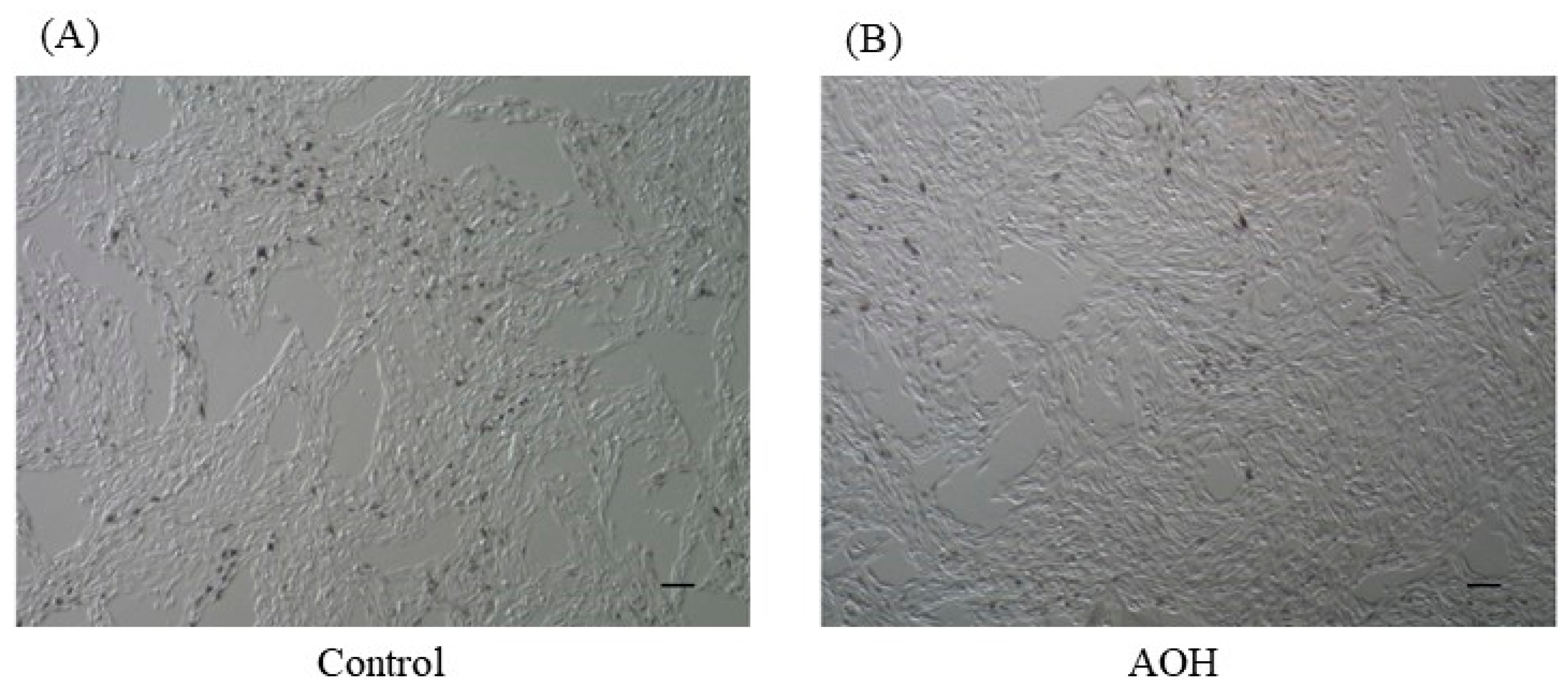 Cosmetics 11 00043 g005