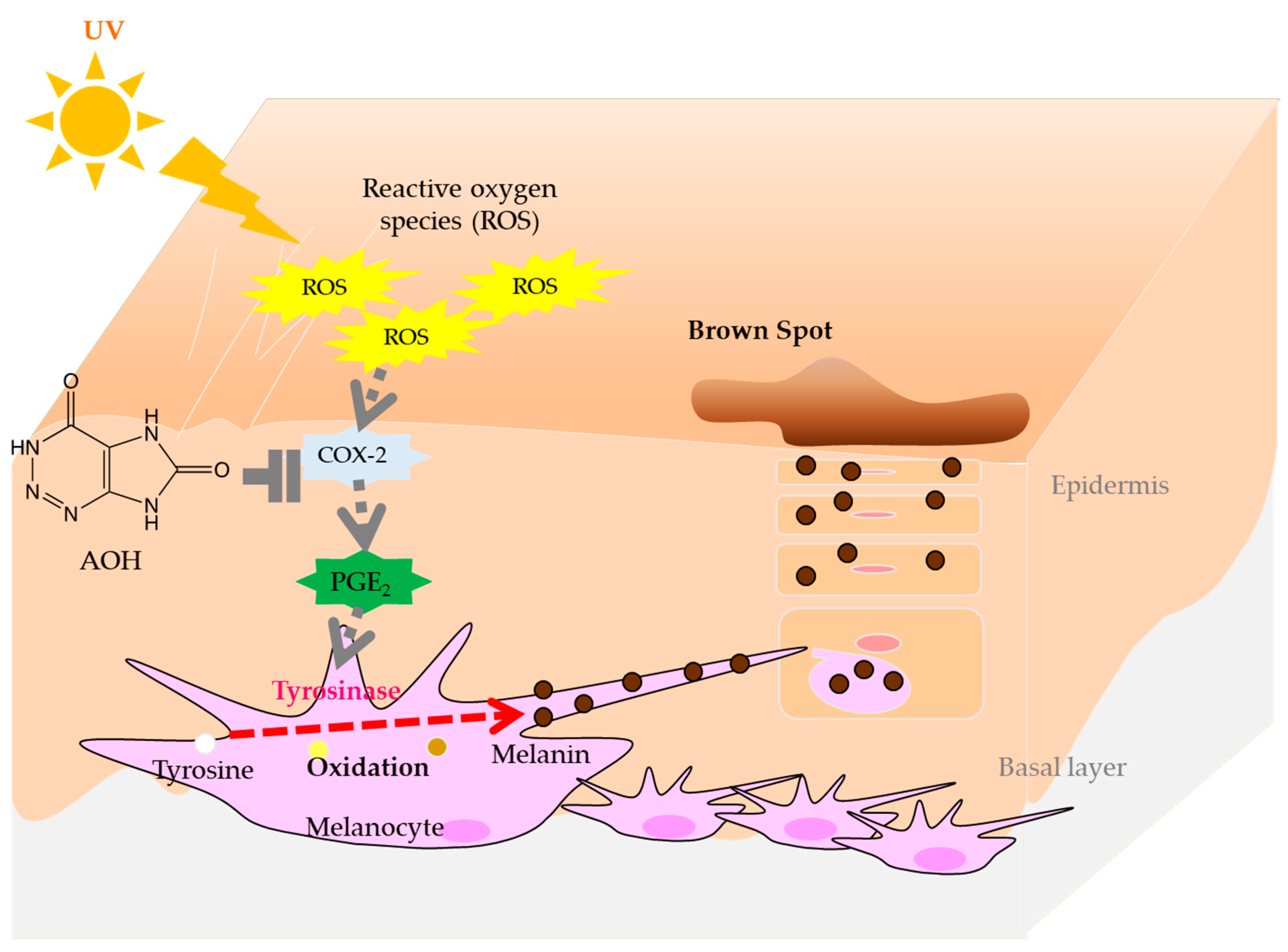 Cosmetics 11 00043 g006