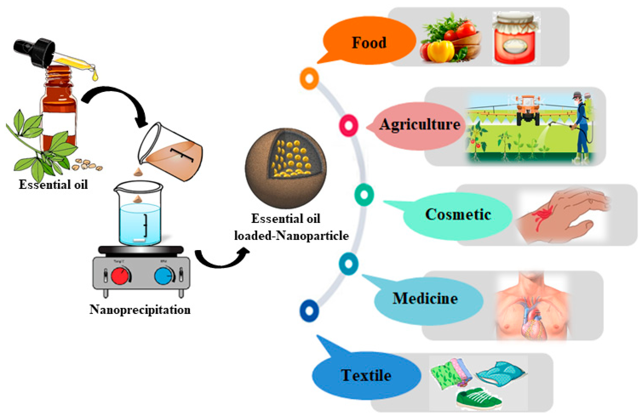 Cosmetics 11 00048 g002