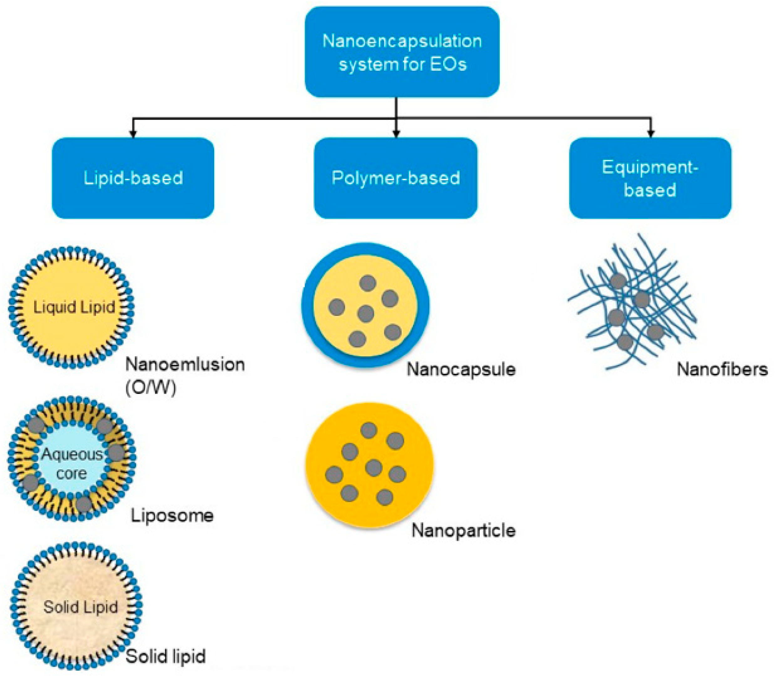 Cosmetics 11 00048 g003