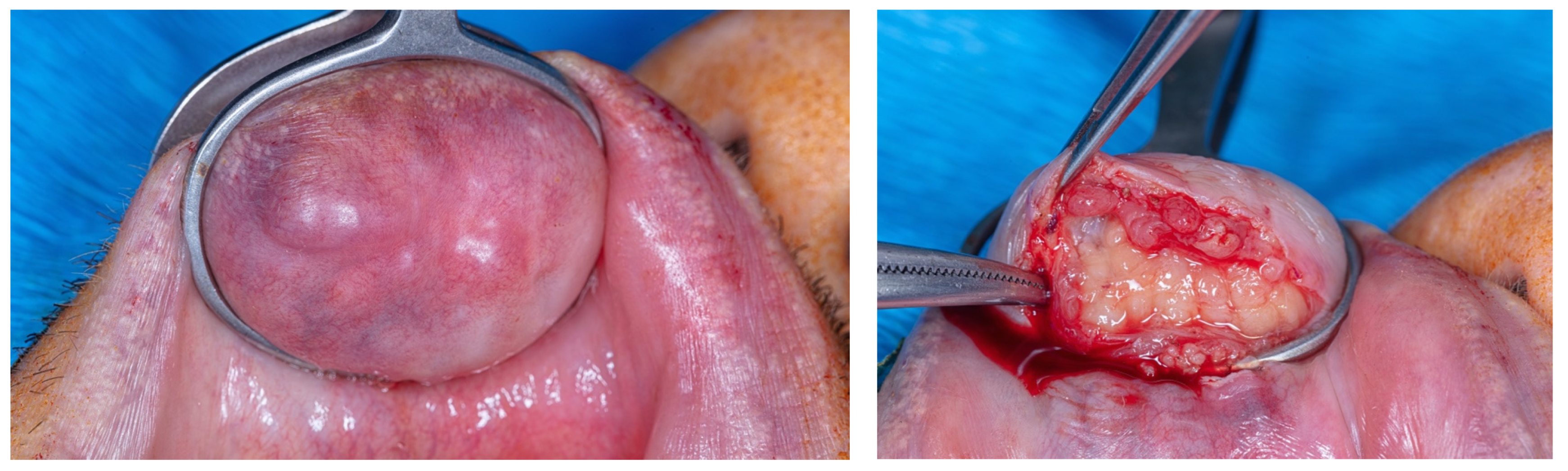 Cosmetics 11 00050 g002 Cosmetics 11 00050 g002