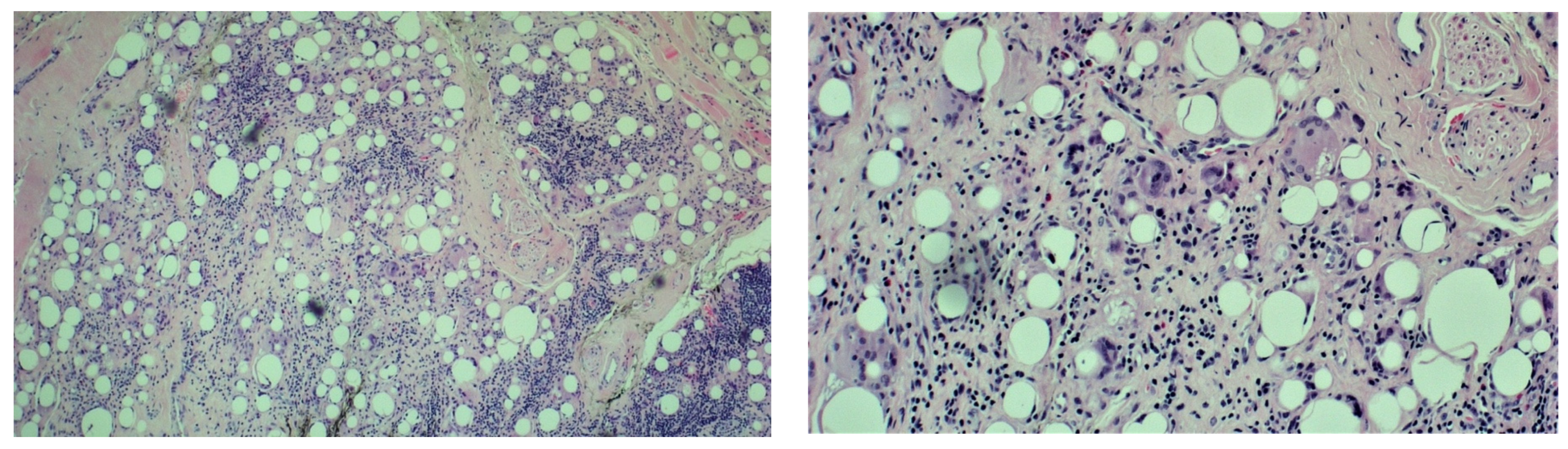 Cosmetics 11 00050 g004 Cosmetics 11 00050 g004