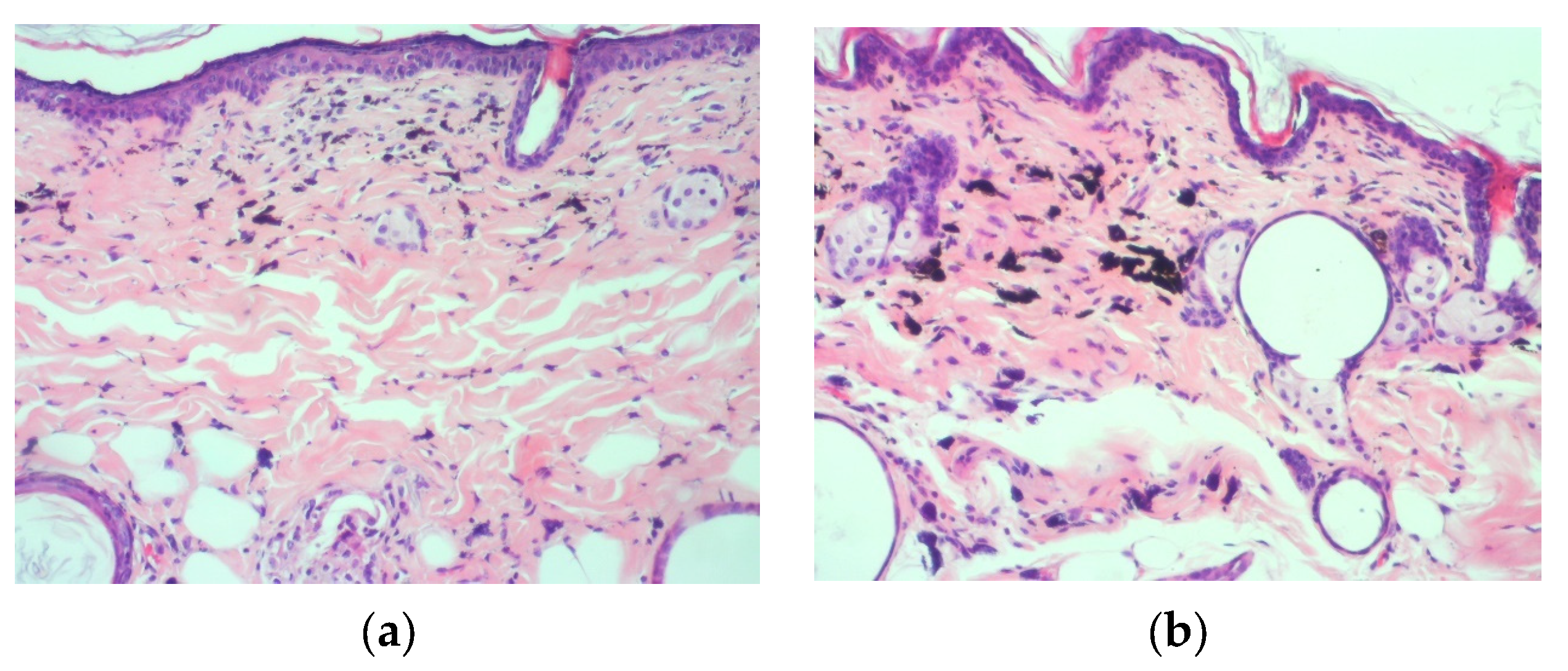 Cosmetics 11 00056 g002