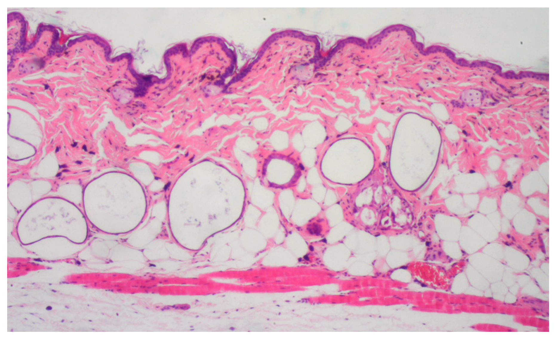 Cosmetics 11 00056 g003