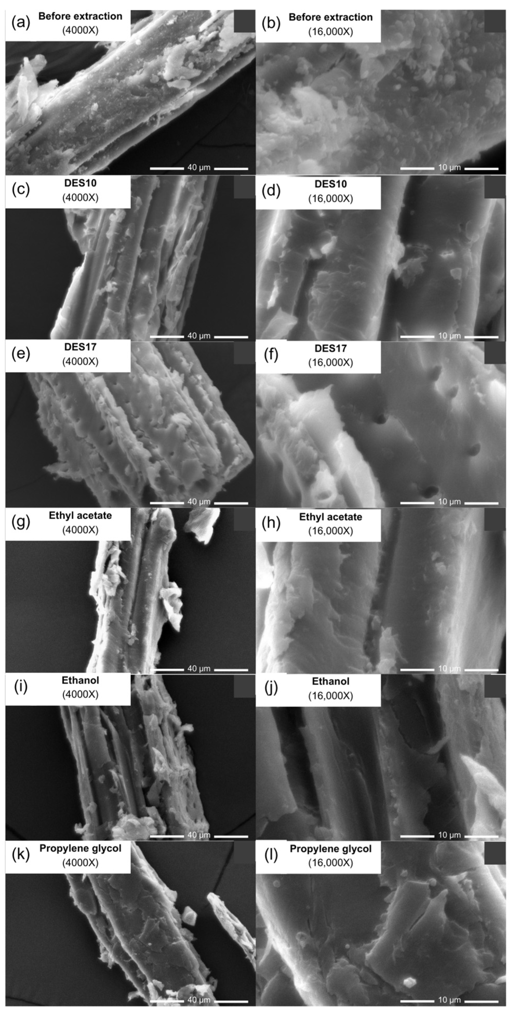 Cosmetics 11 00058 g006 Cosmetics 11 00058 g006