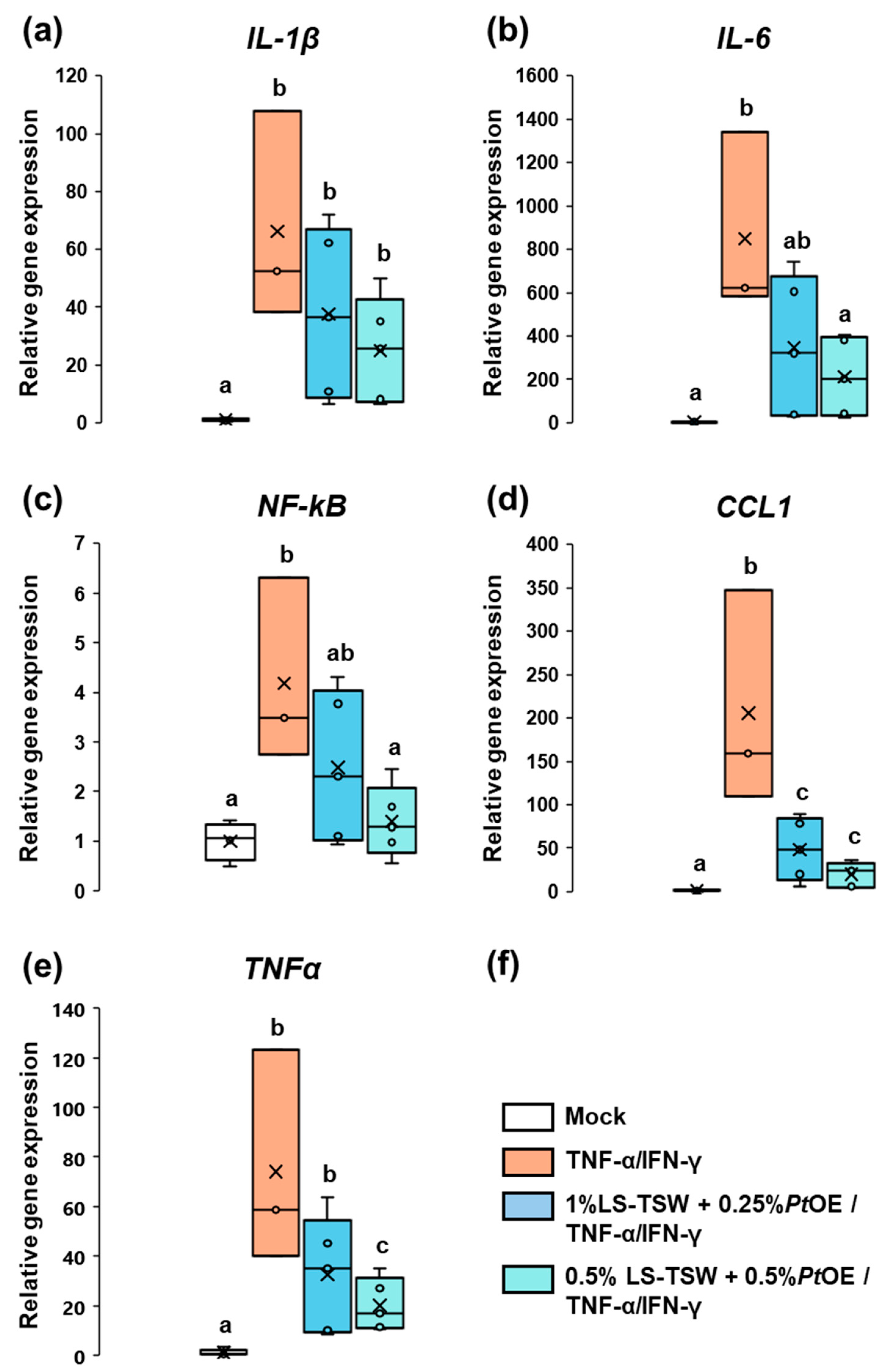 Cosmetics 11 00062 g003