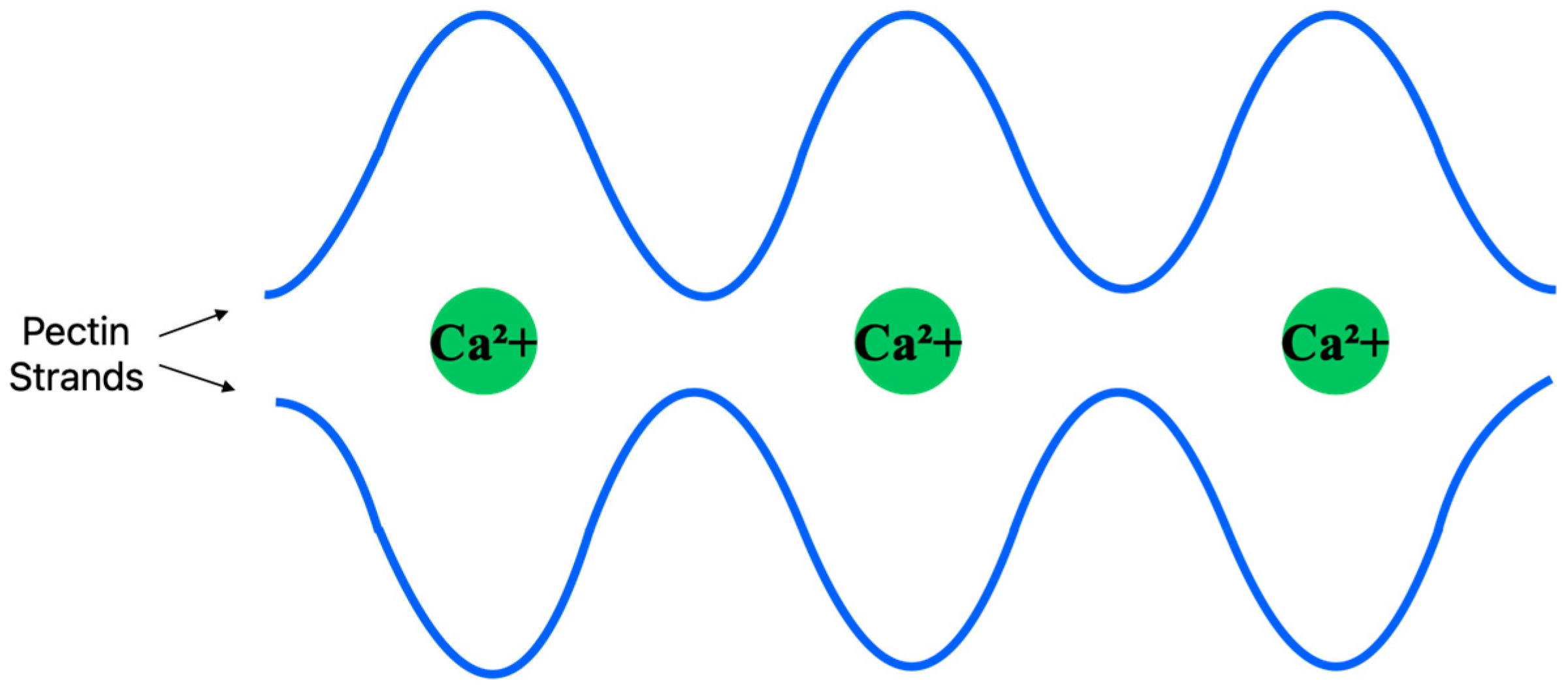 Cosmetics 11 00063 g004 Cosmetics 11 00063 g004