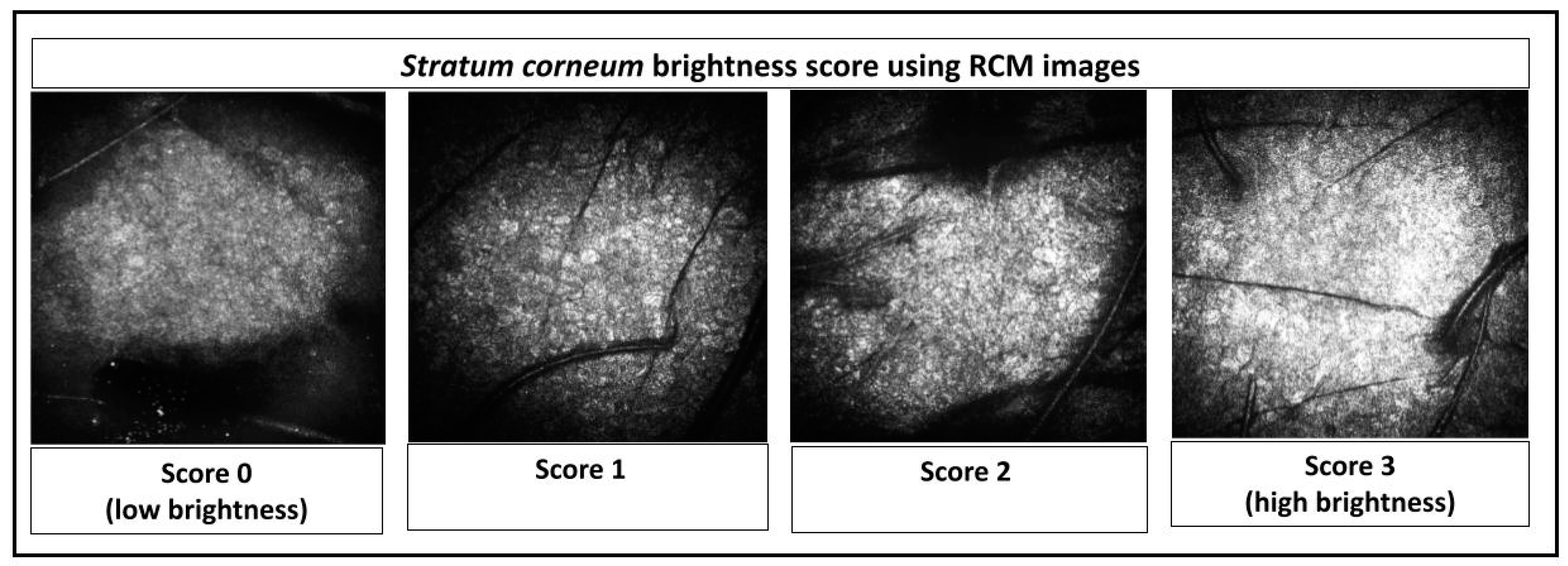Cosmetics 11 00068 g001