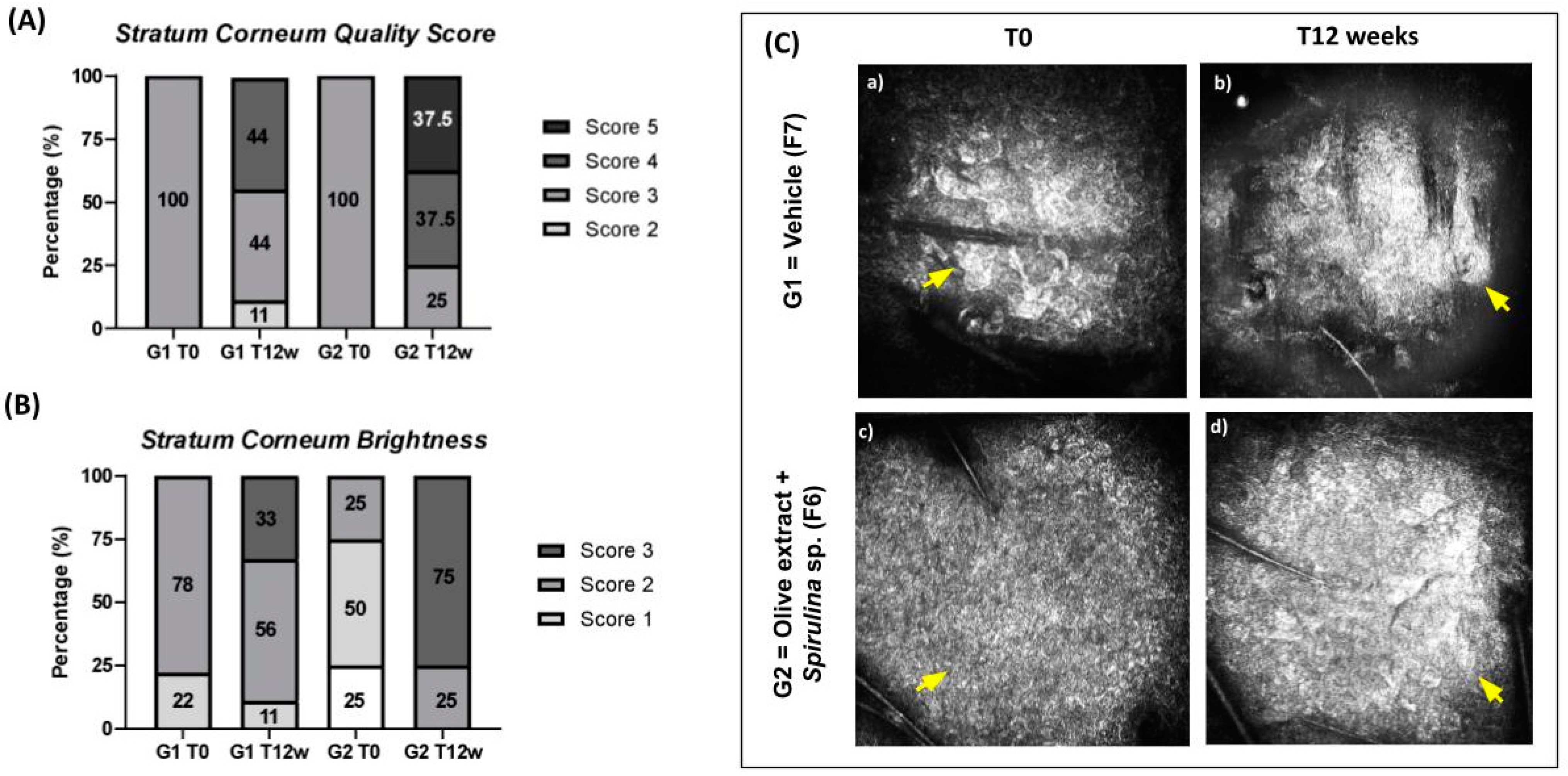 Cosmetics 11 00068 g007