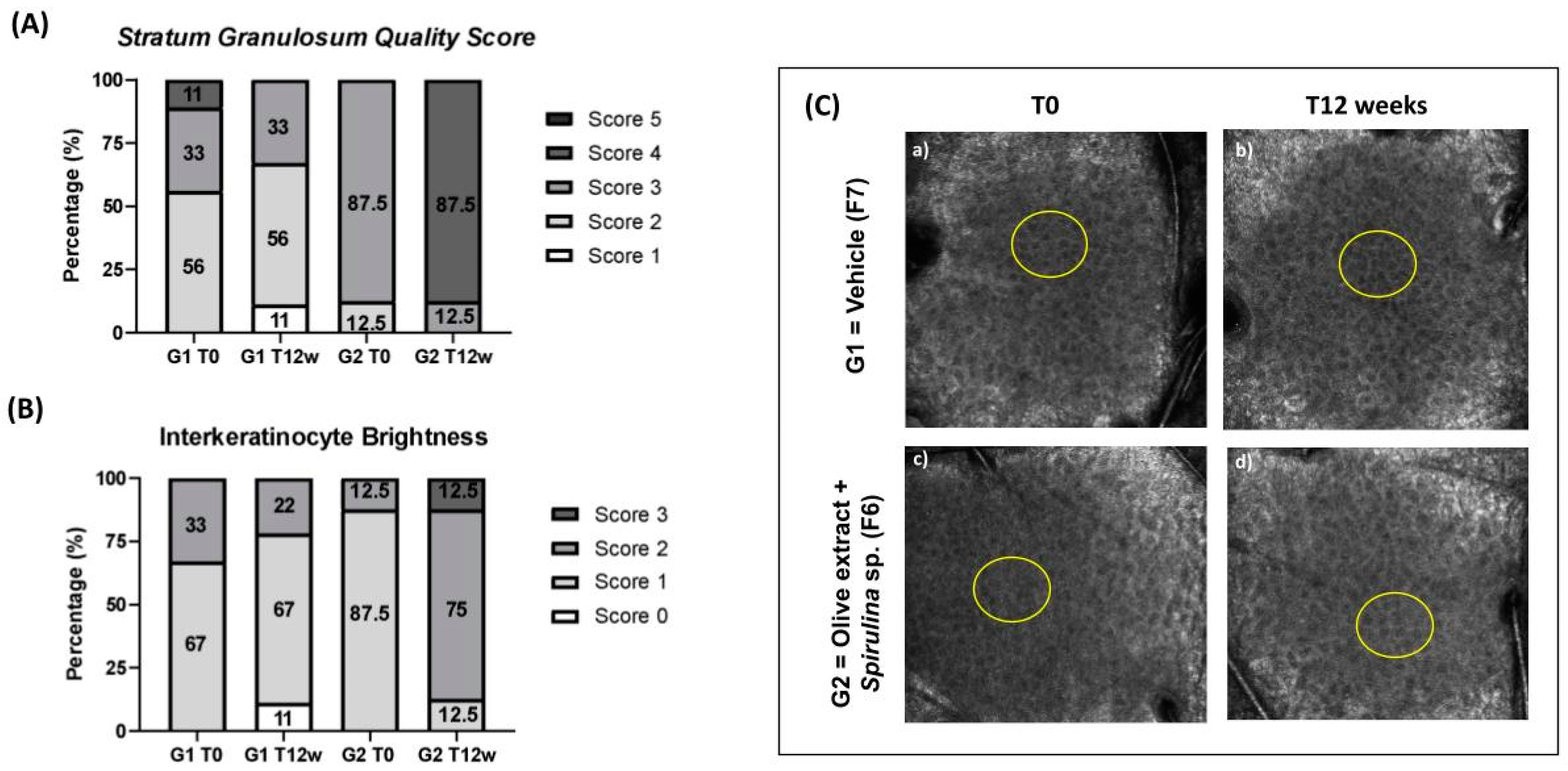 Cosmetics 11 00068 g008