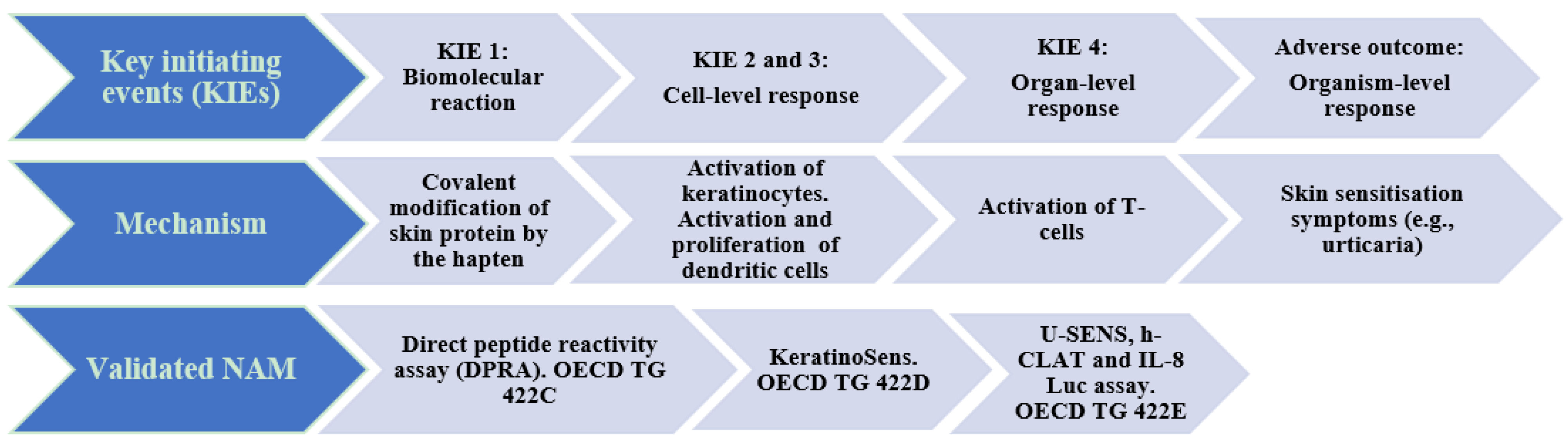 Cosmetics 11 00072 g001