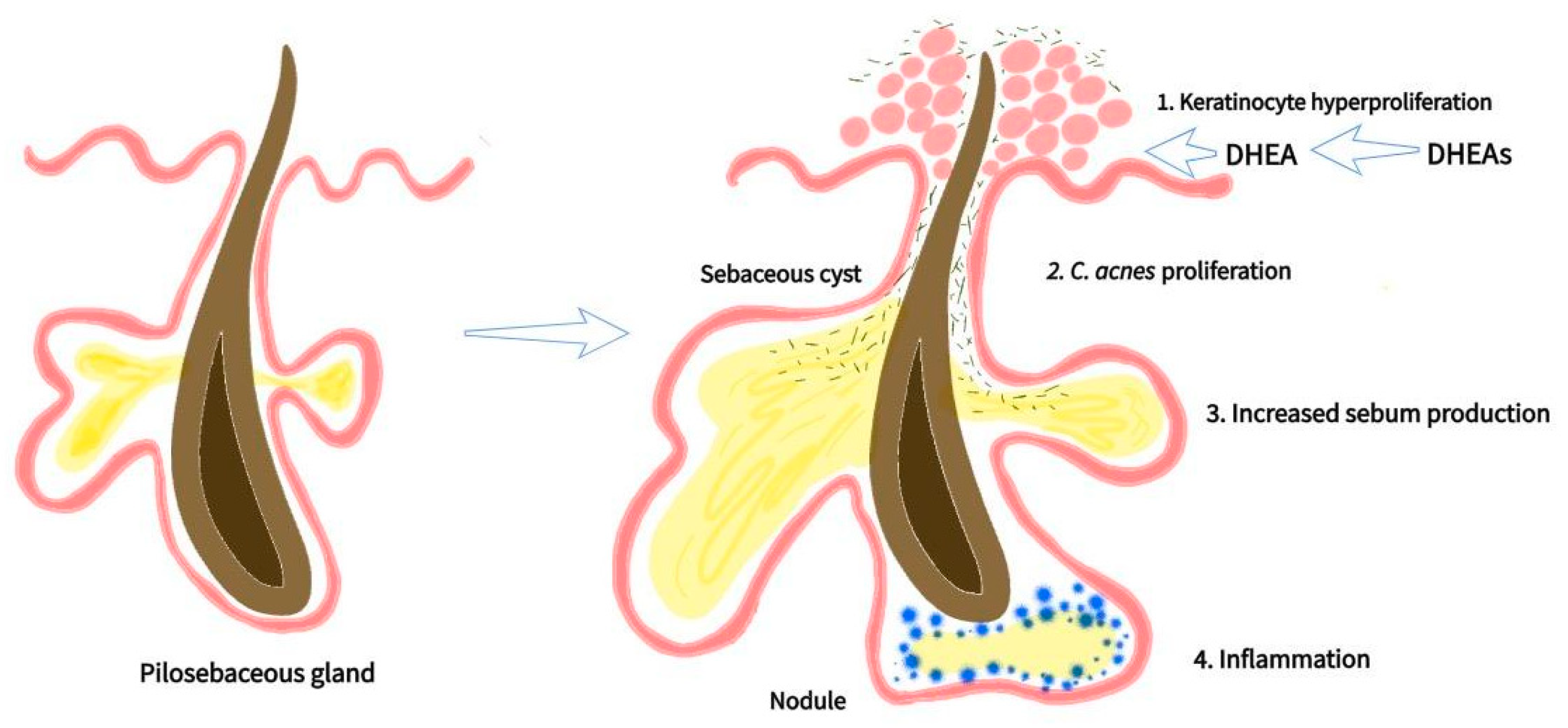 Cosmetics 11 00074 g001