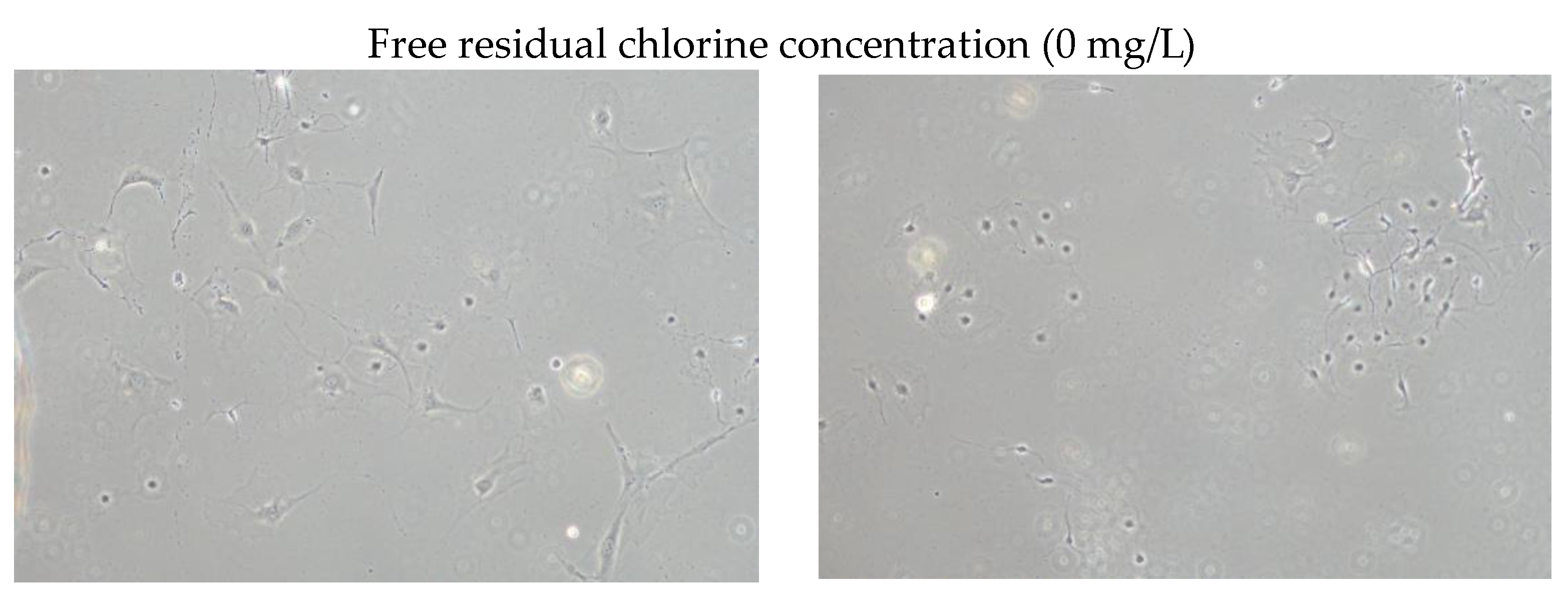 Cosmetics 11 00075 g001a