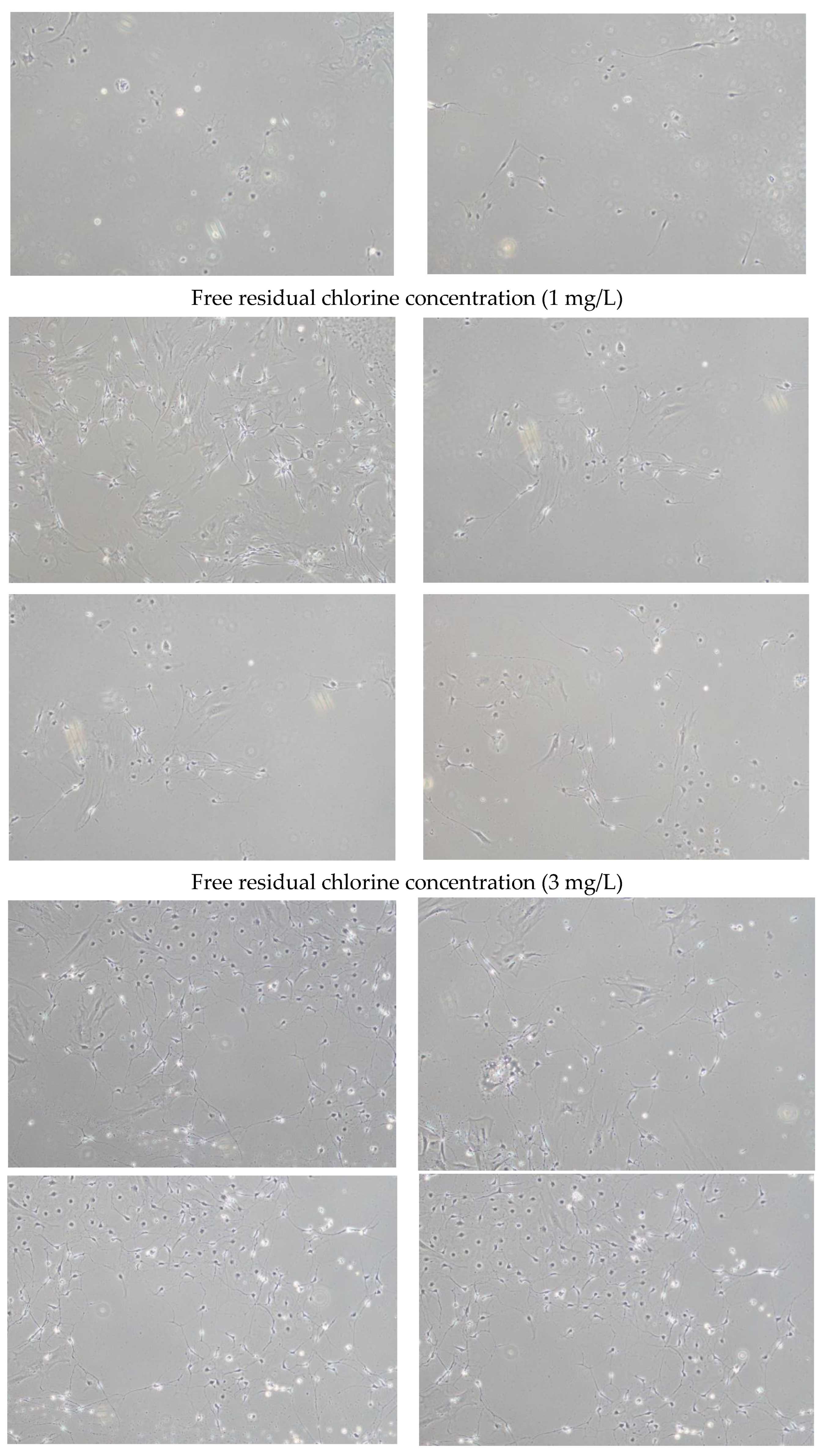 Cosmetics 11 00075 g001b