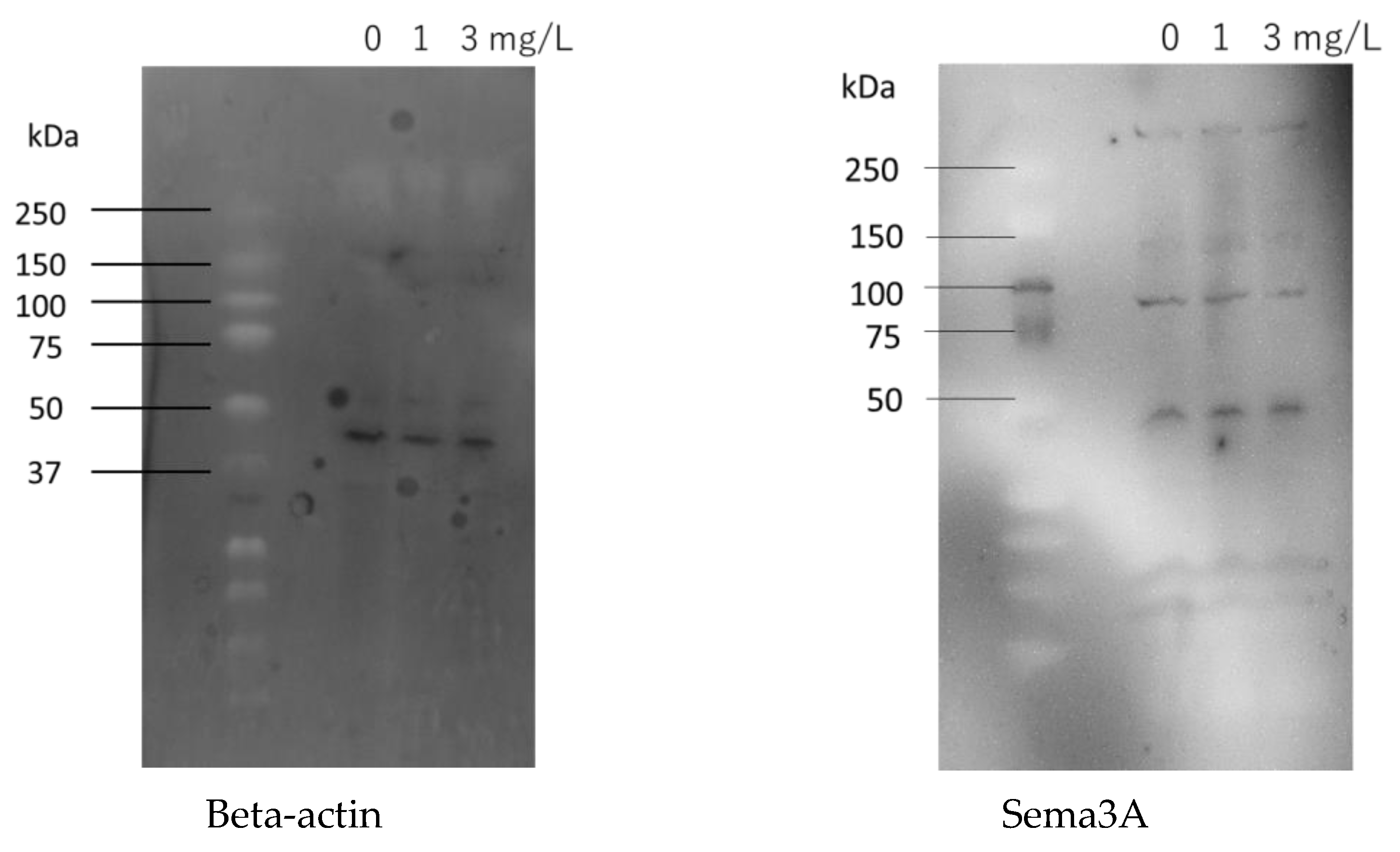 Cosmetics 11 00075 g007a