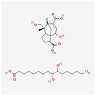 Cosmetics 11 00078 i029