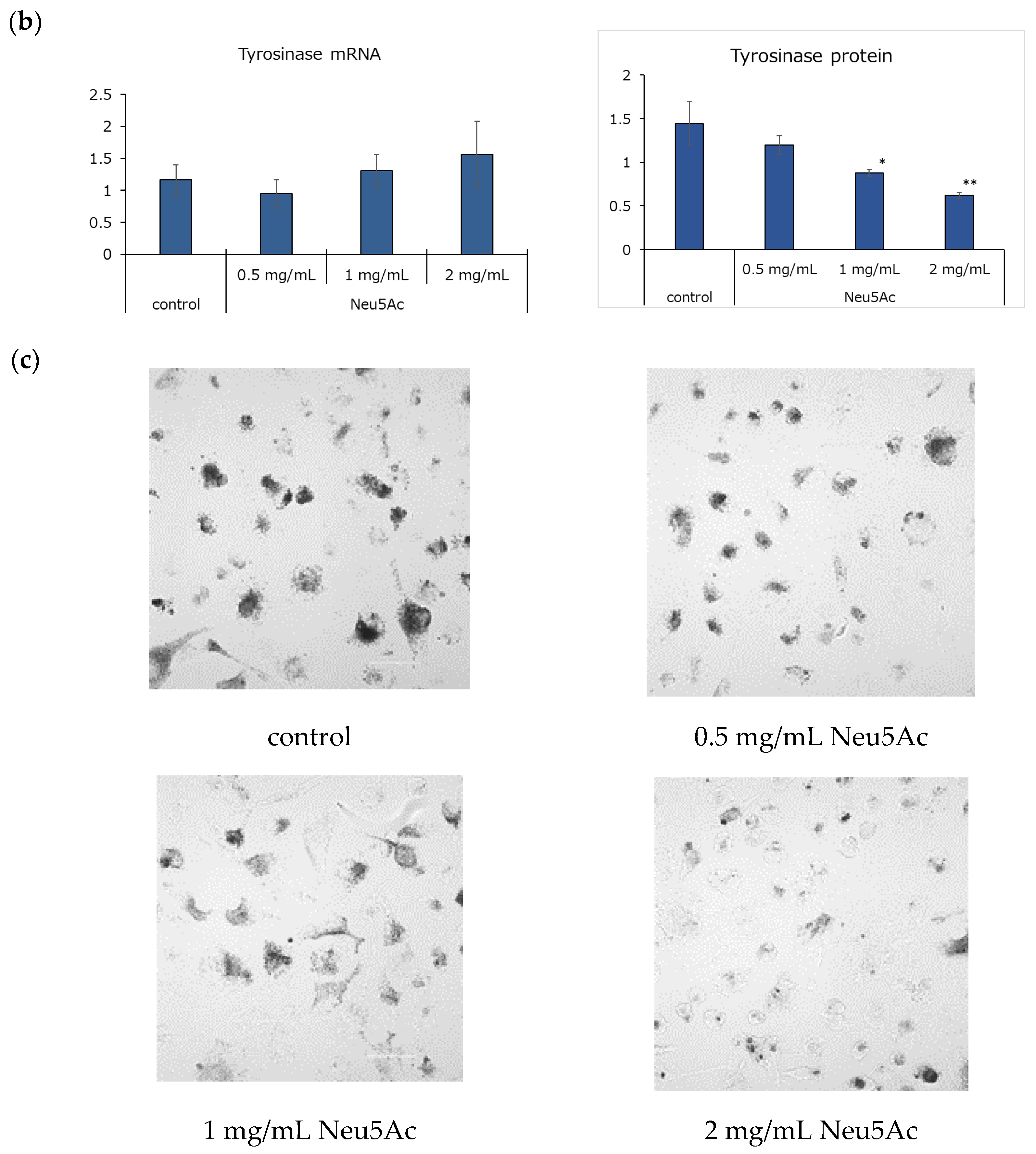 Cosmetics 11 00082 g002b Cosmetics 11 00082 g002b