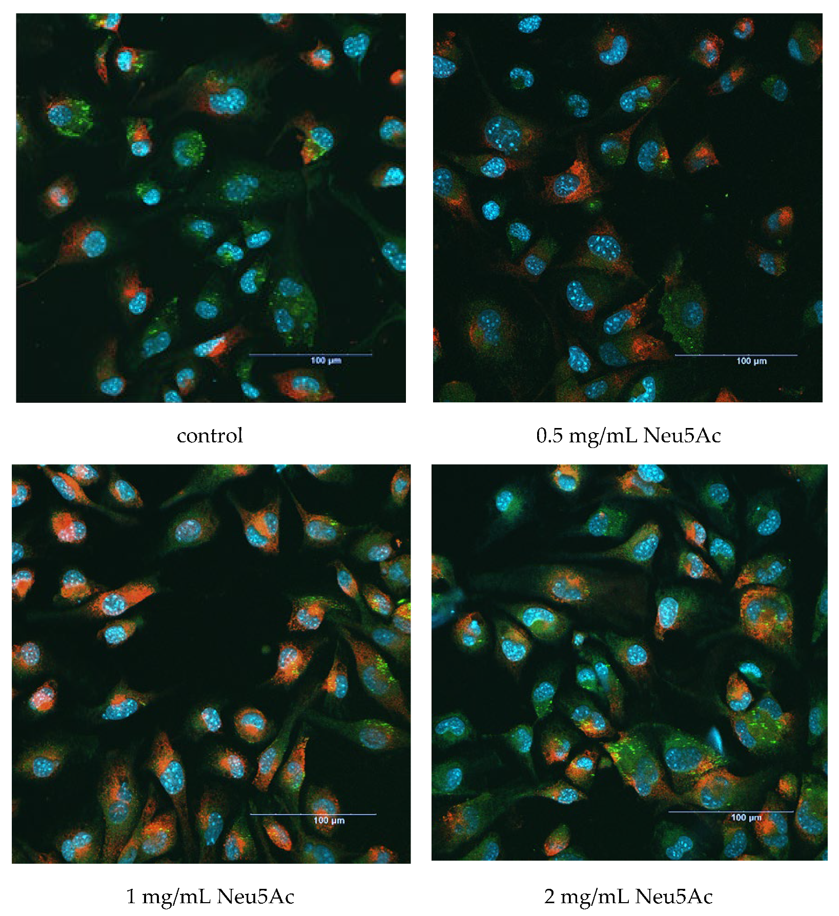 Cosmetics 11 00082 g003 Cosmetics 11 00082 g003