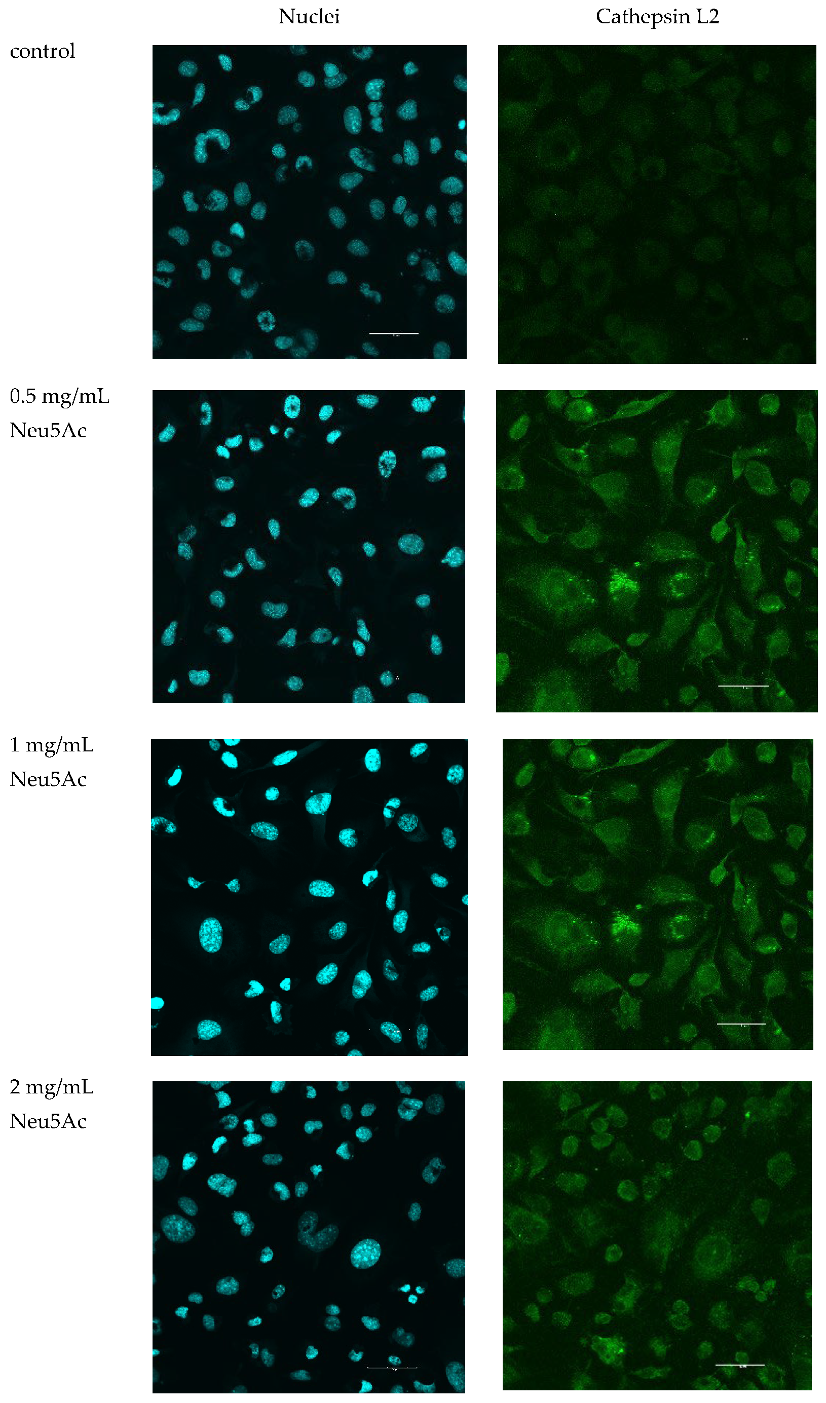 Cosmetics 11 00082 g004 Cosmetics 11 00082 g004