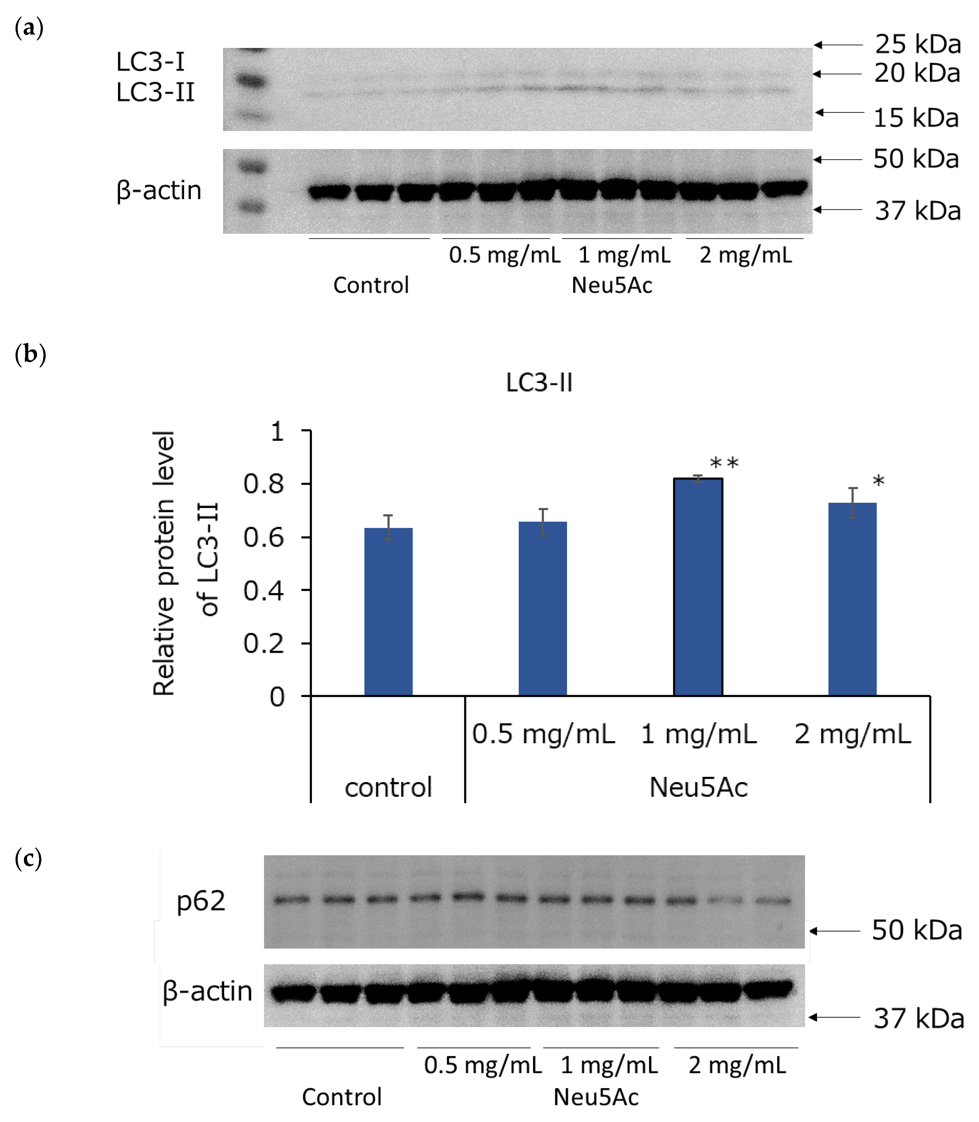 Cosmetics 11 00082 g005a Cosmetics 11 00082 g005a