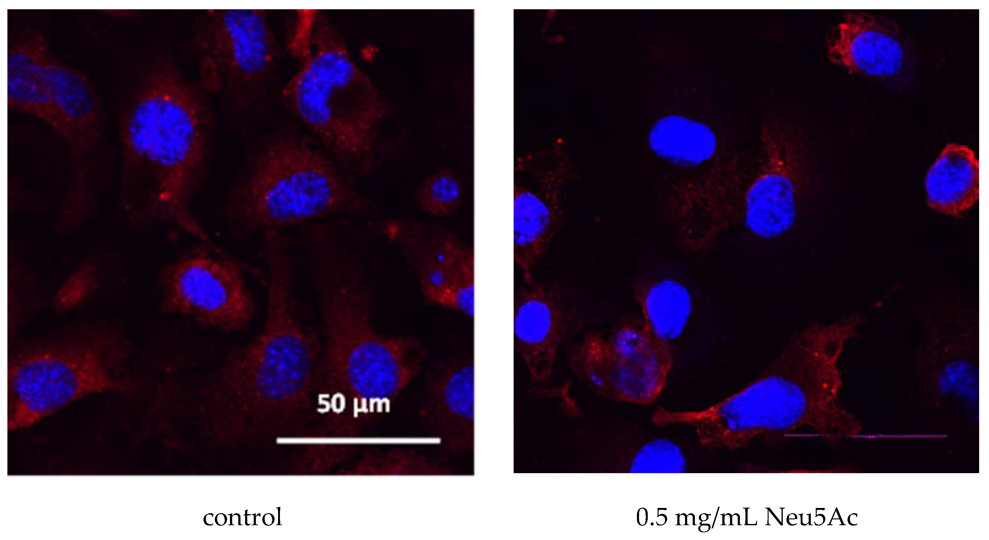 Cosmetics 11 00082 g006a Cosmetics 11 00082 g006a