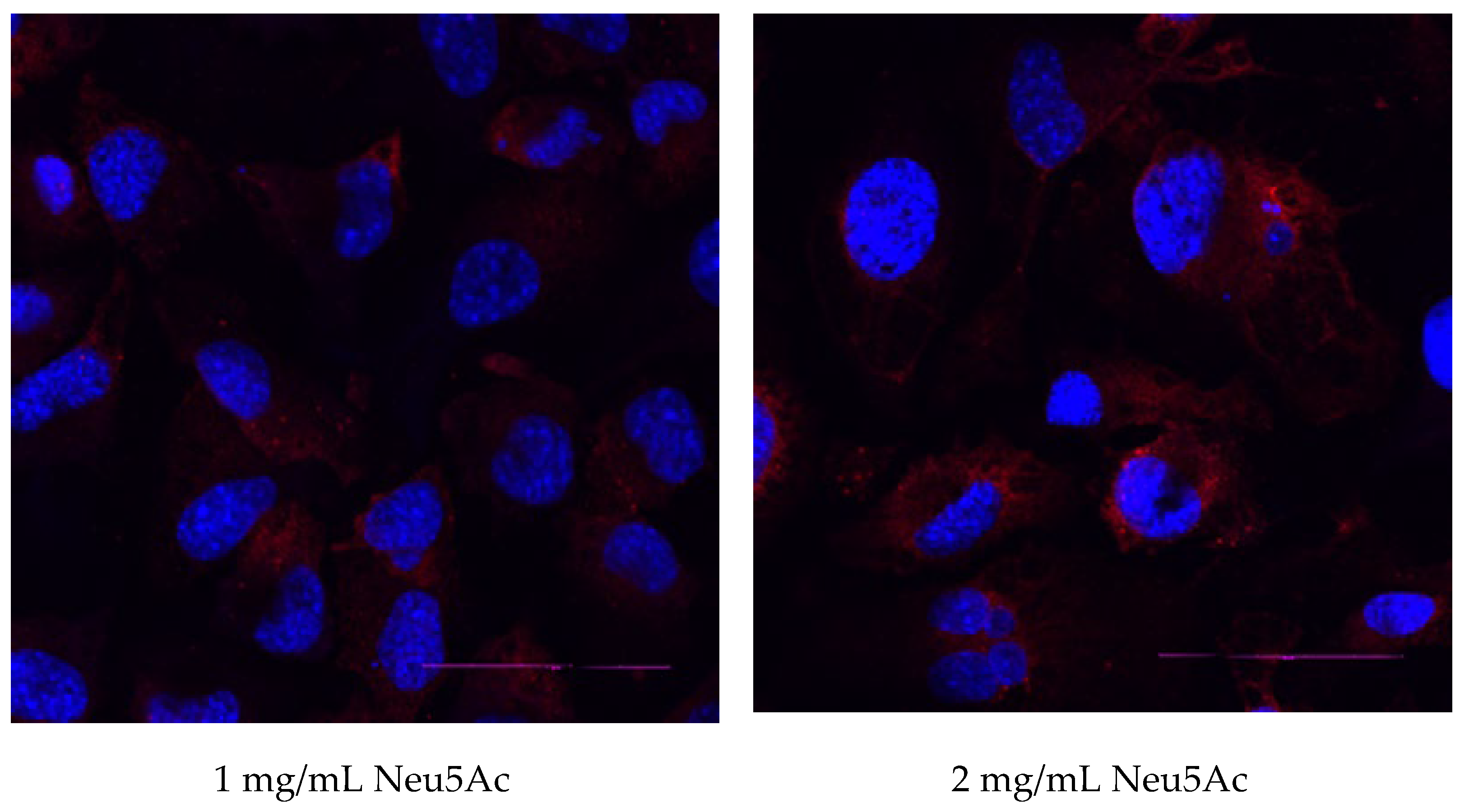 Cosmetics 11 00082 g006b Cosmetics 11 00082 g006b