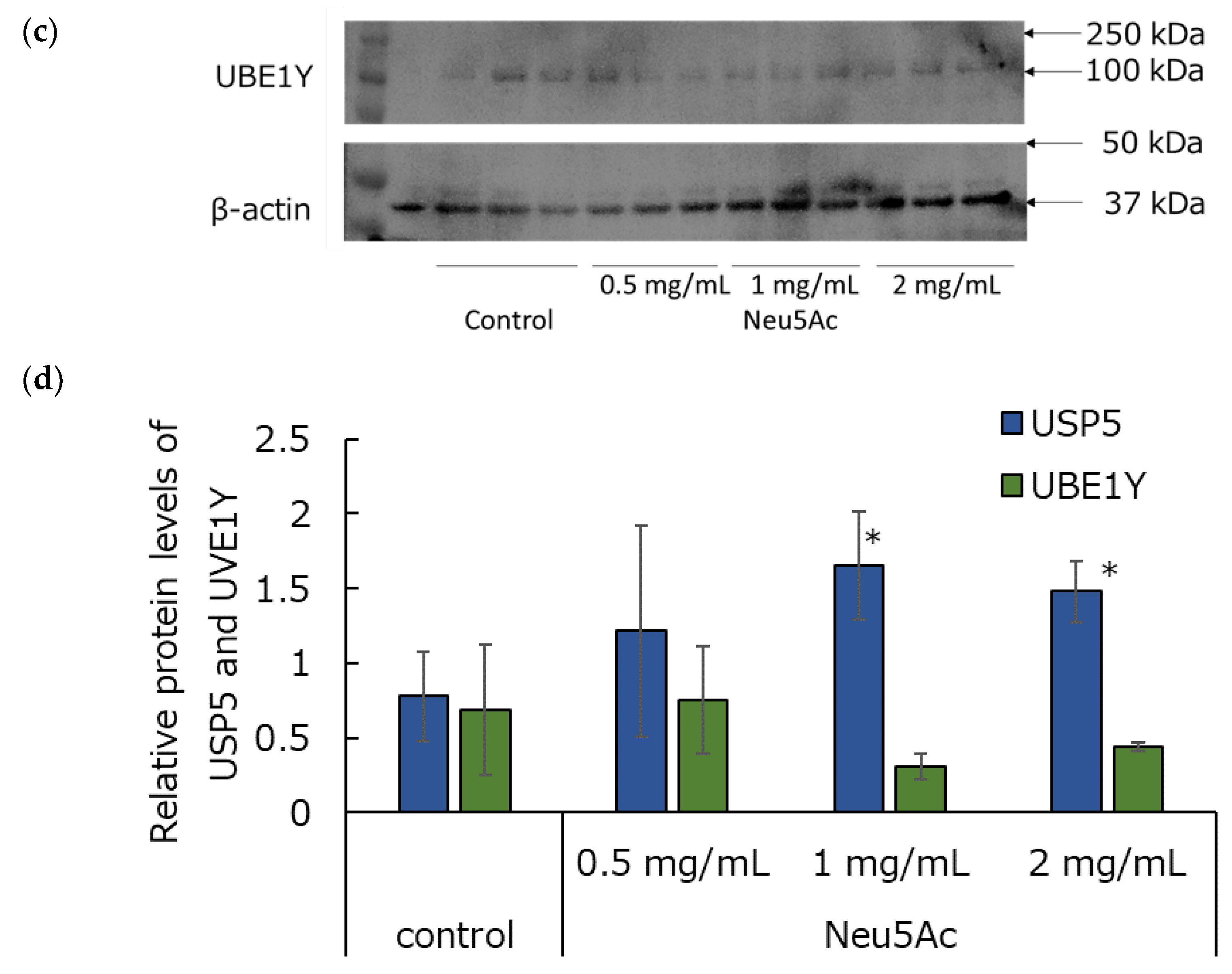 Cosmetics 11 00082 g007b Cosmetics 11 00082 g007b