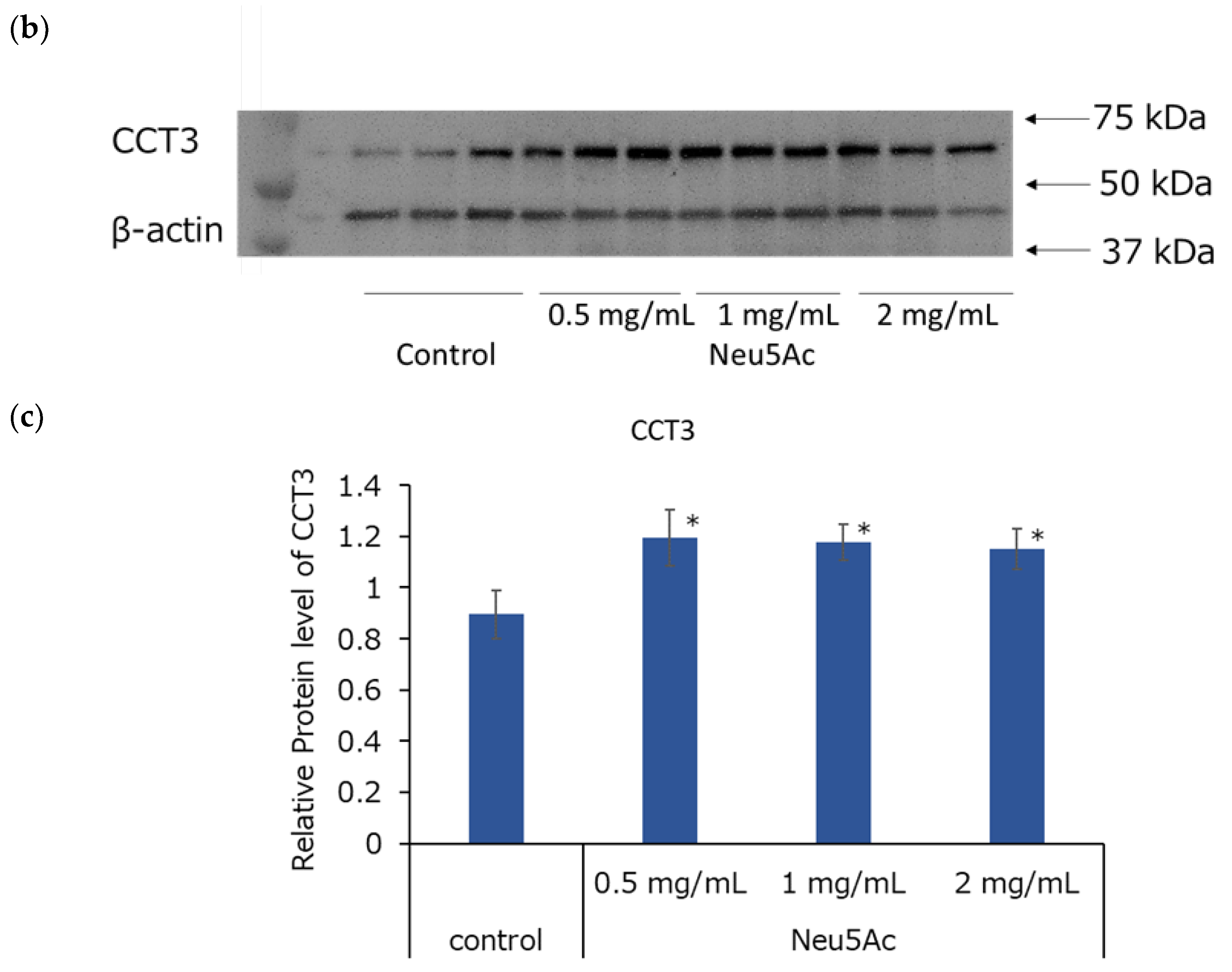 Cosmetics 11 00082 g008b Cosmetics 11 00082 g008b