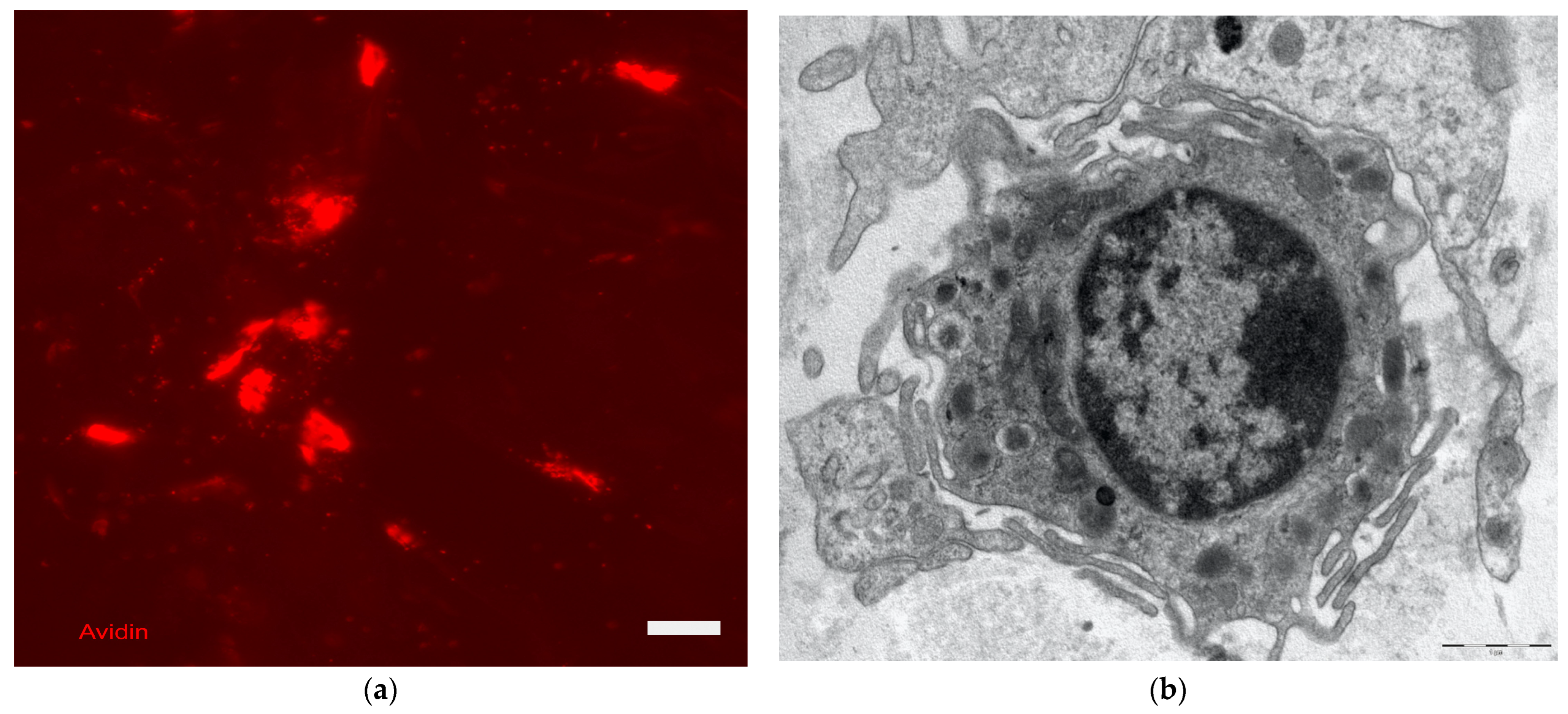 Cosmetics 11 00090 g006