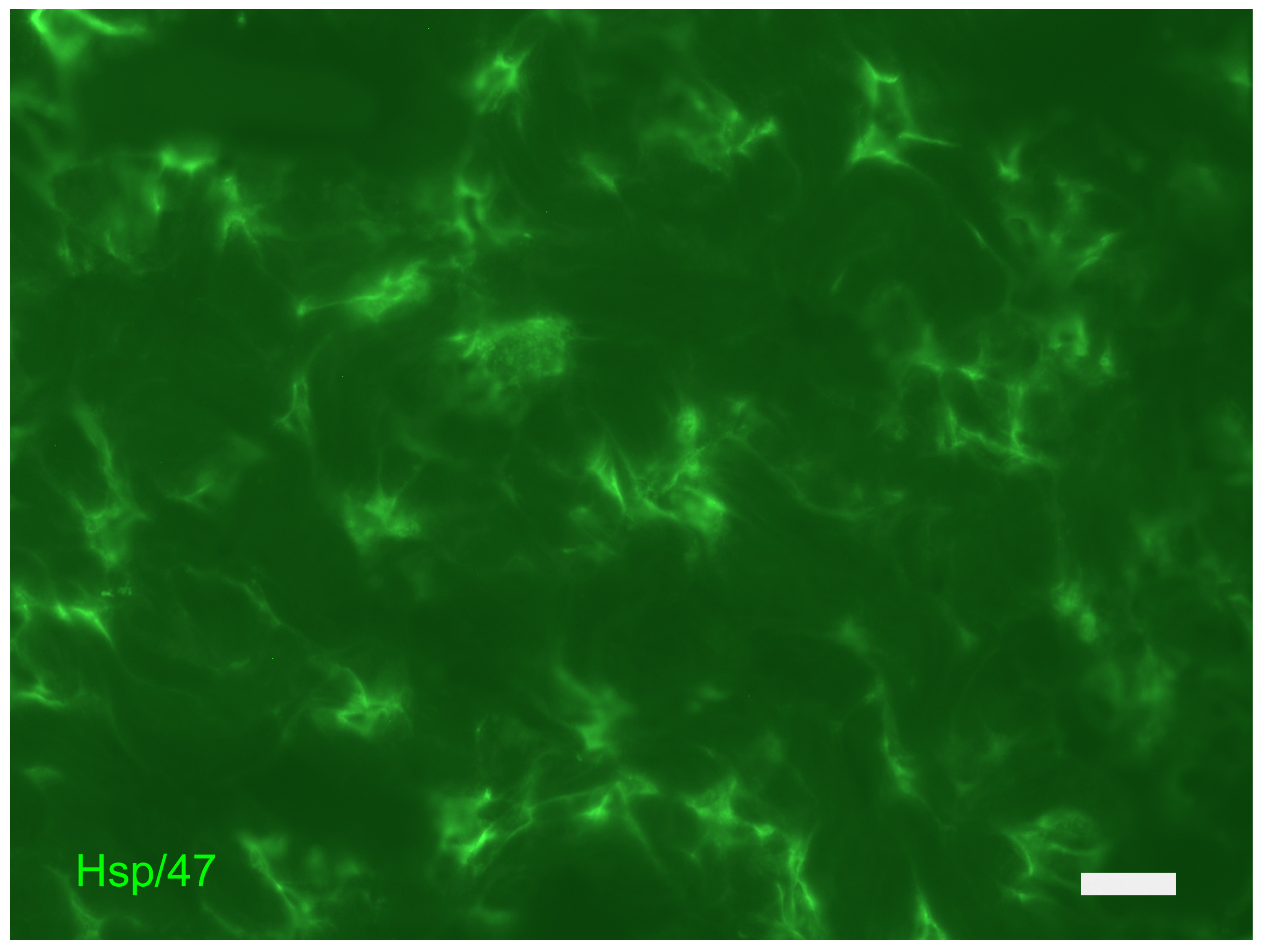 Cosmetics 11 00090 g009