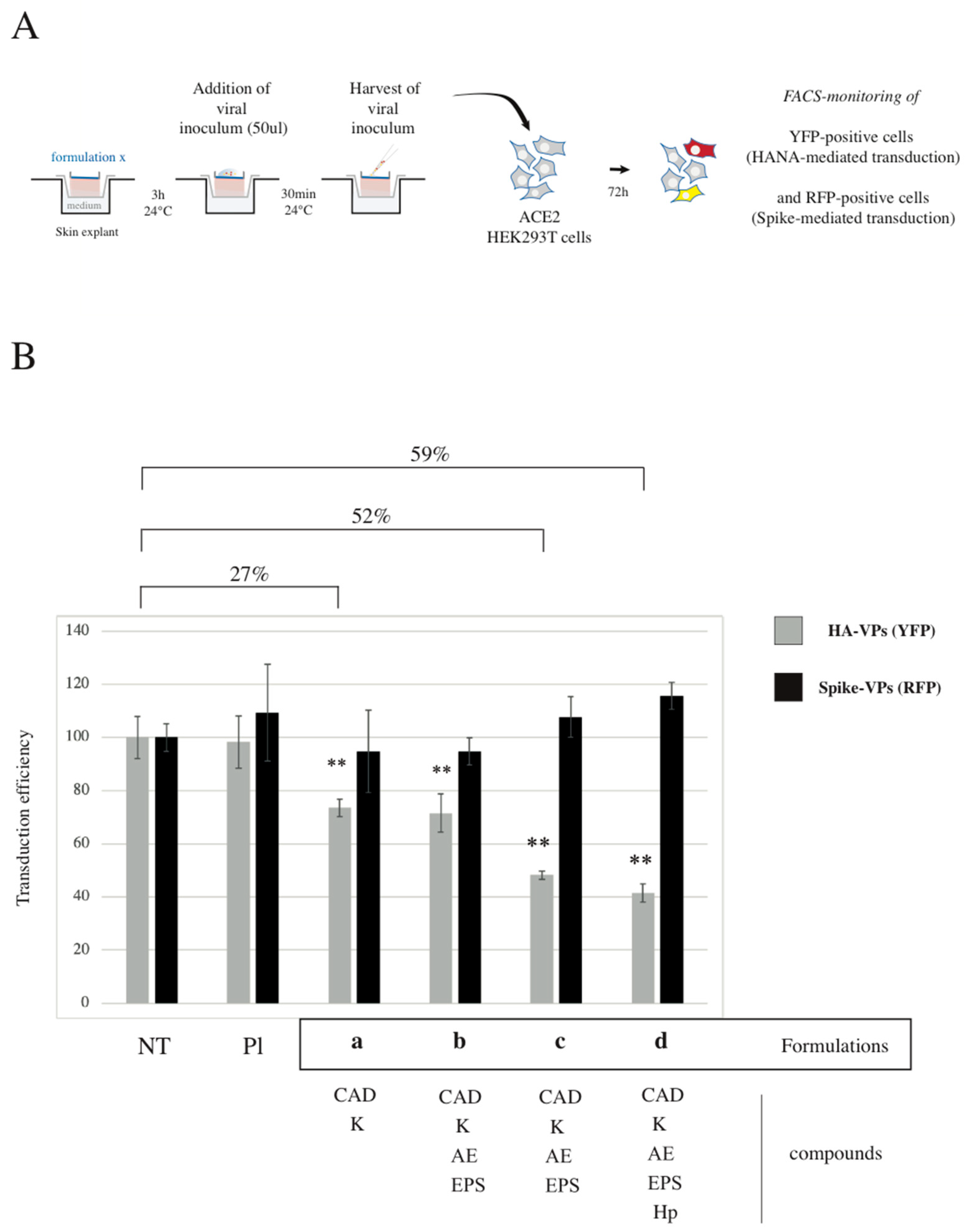 Cosmetics 11 00091 g002