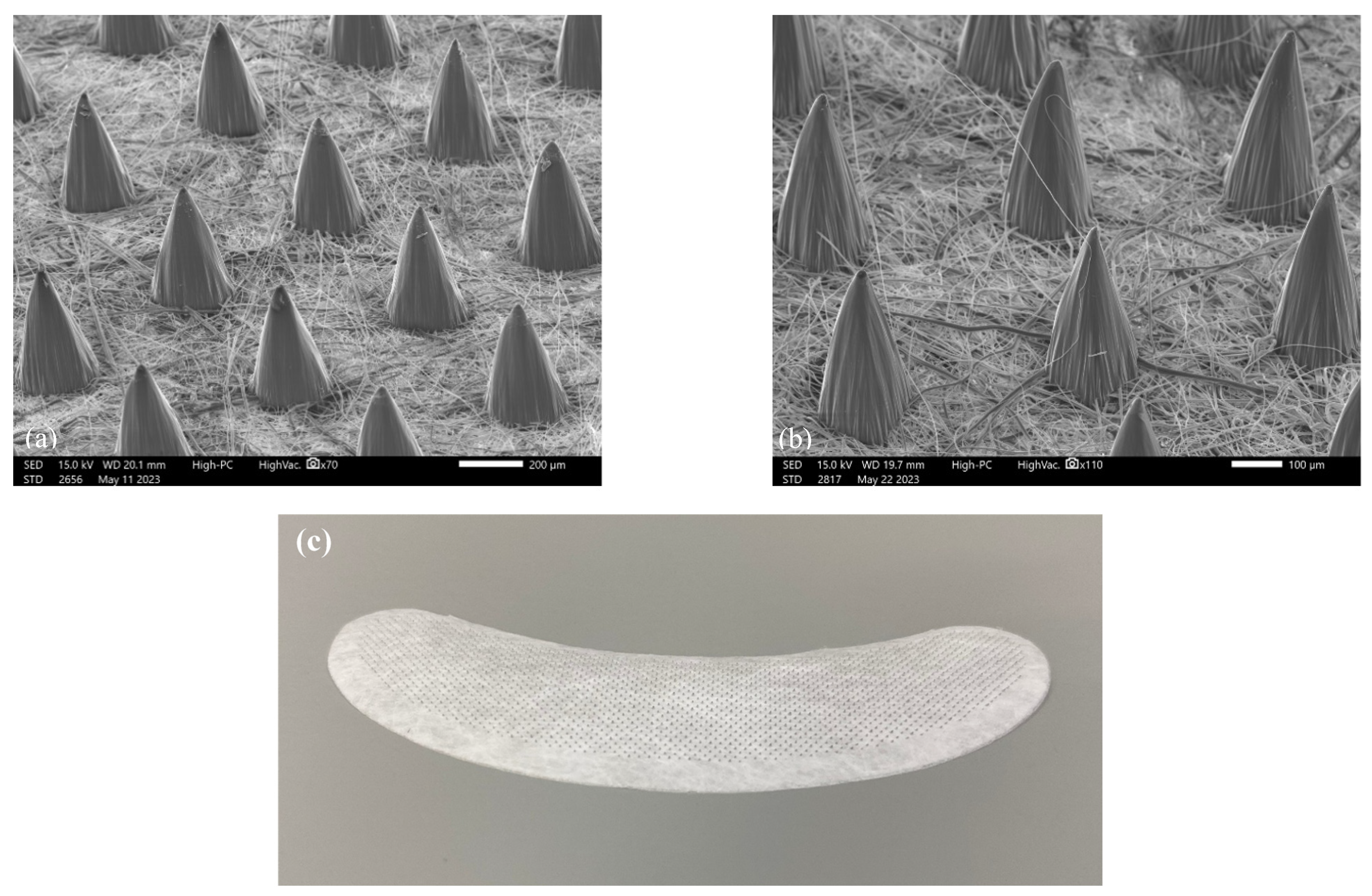 Cosmetics 11 00092 g001