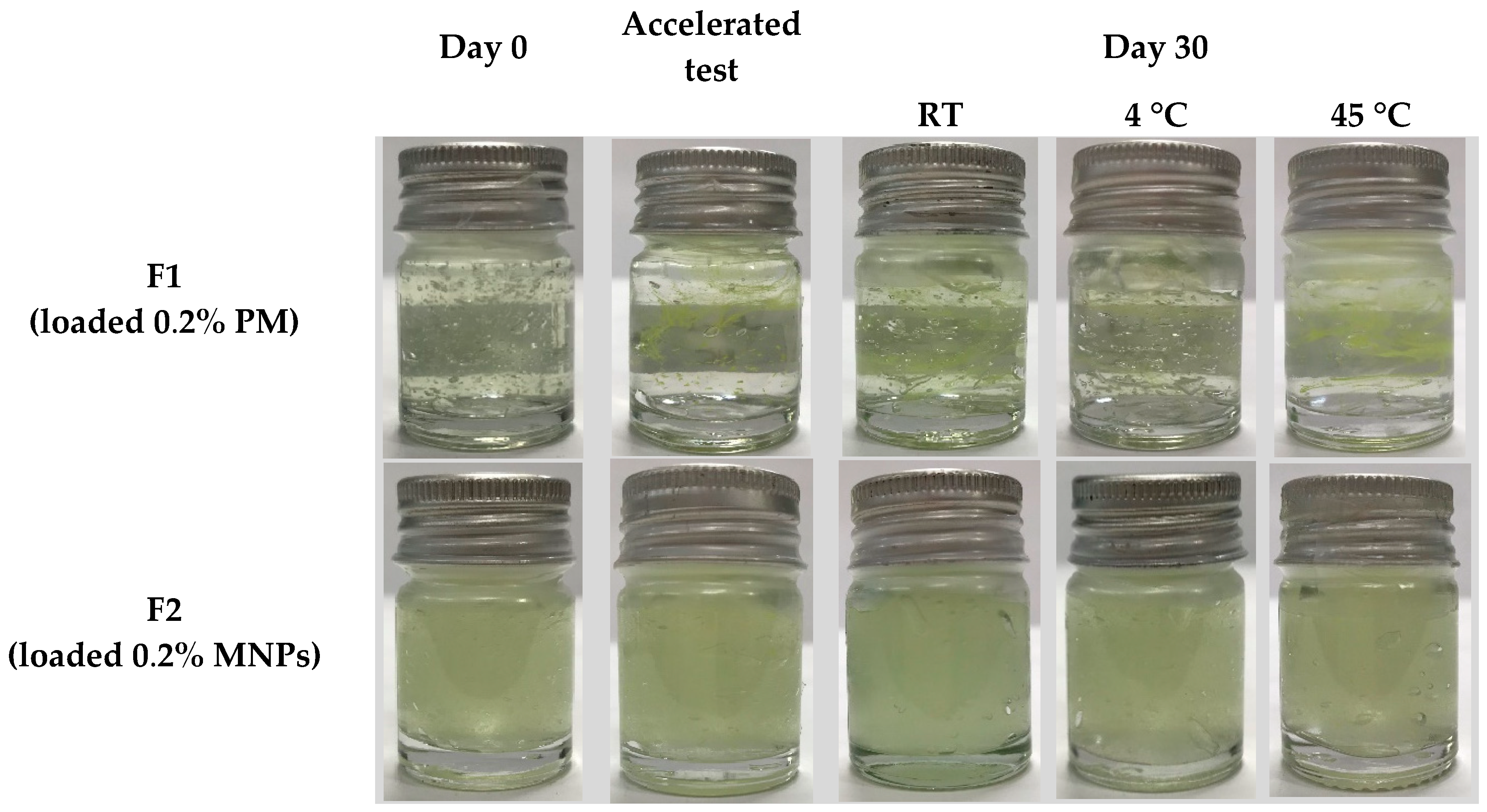 Cosmetics 11 00093 g002