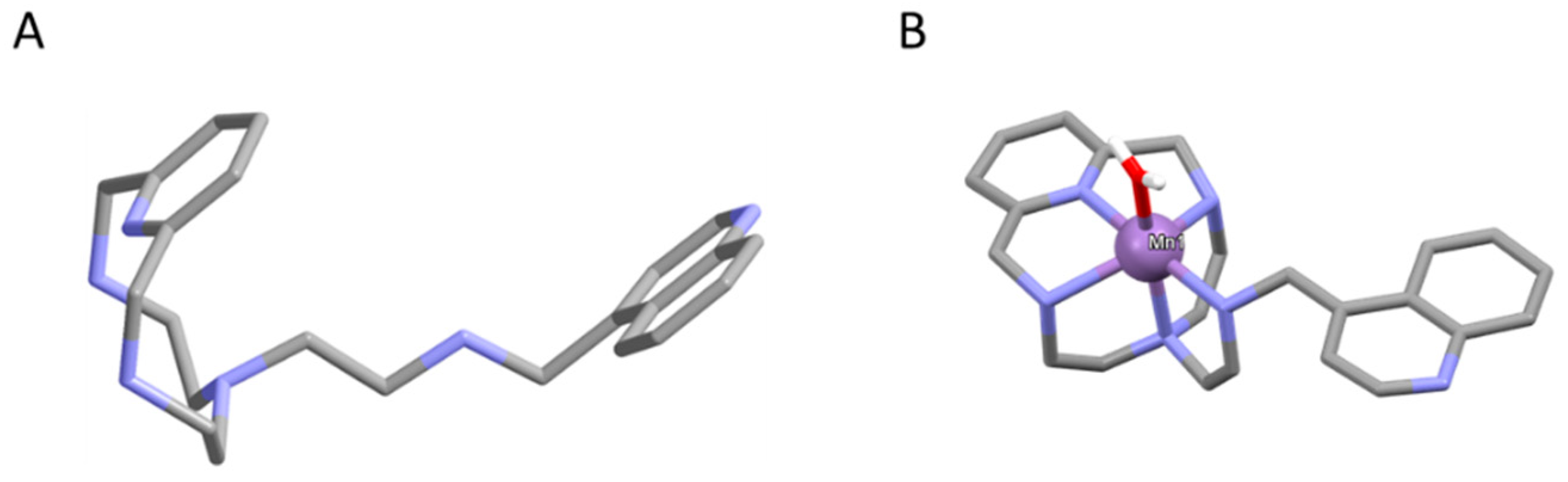 Cosmetics 11 00095 g001