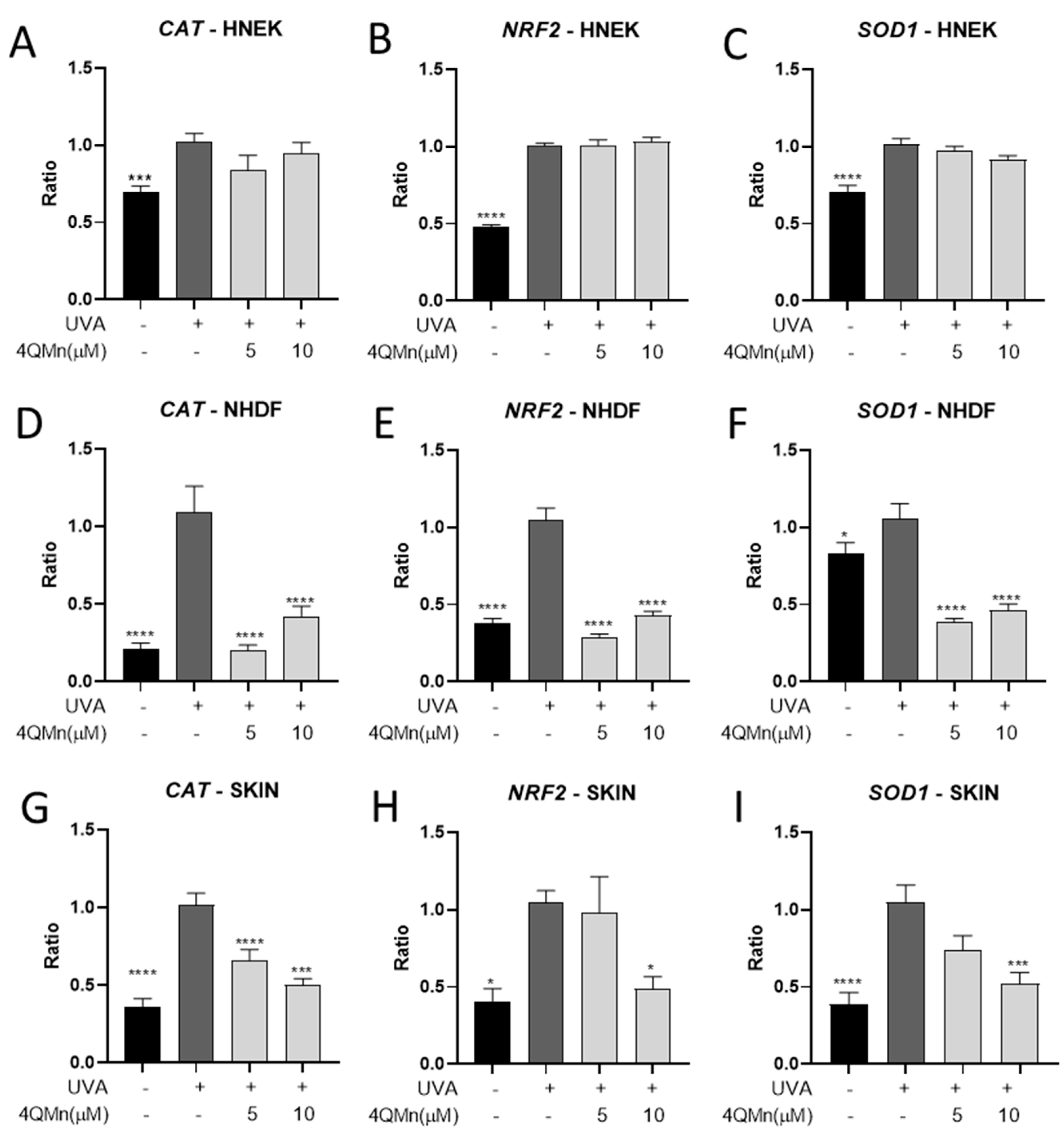 Cosmetics 11 00095 g003