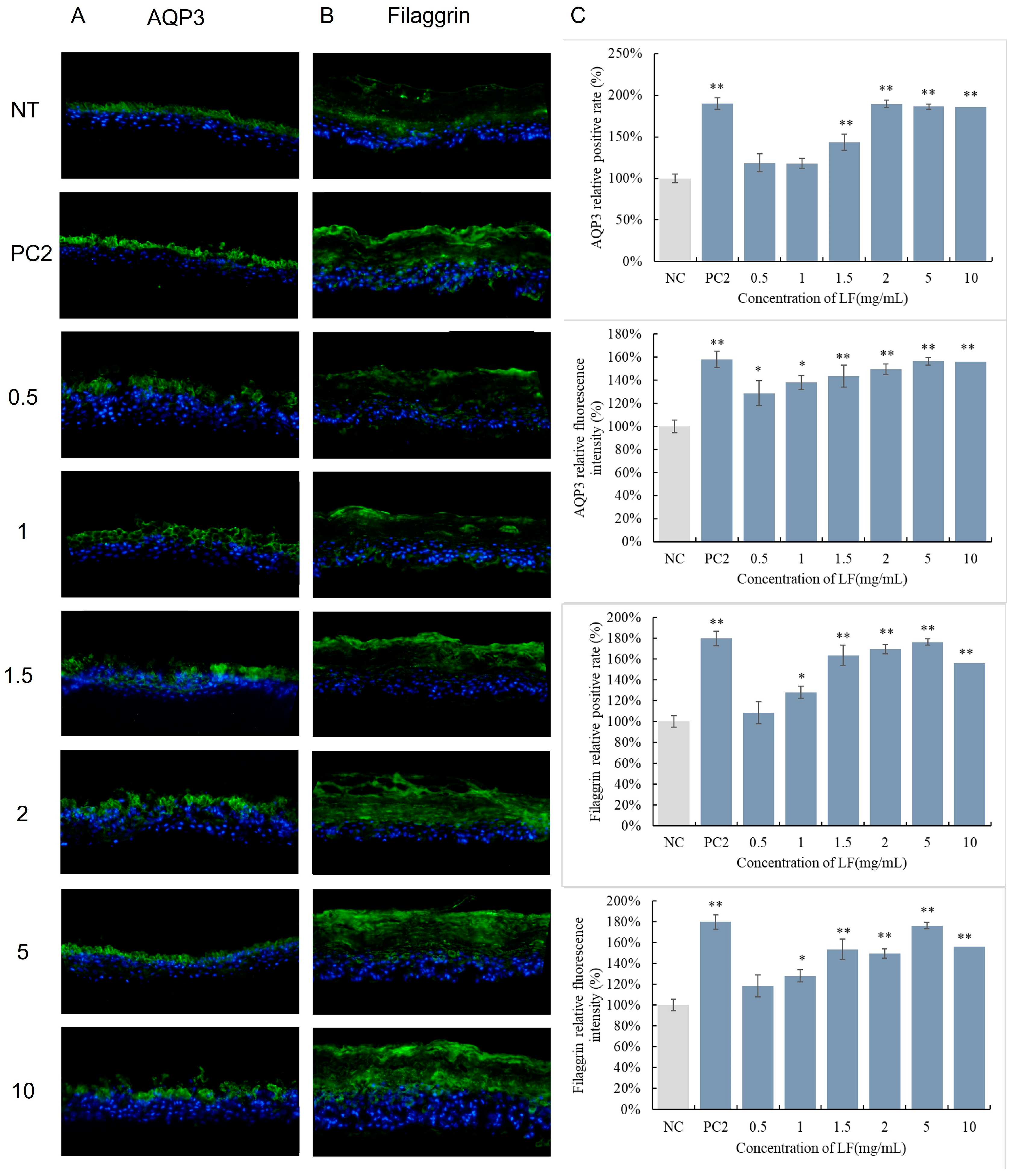 Cosmetics 11 00098 g004