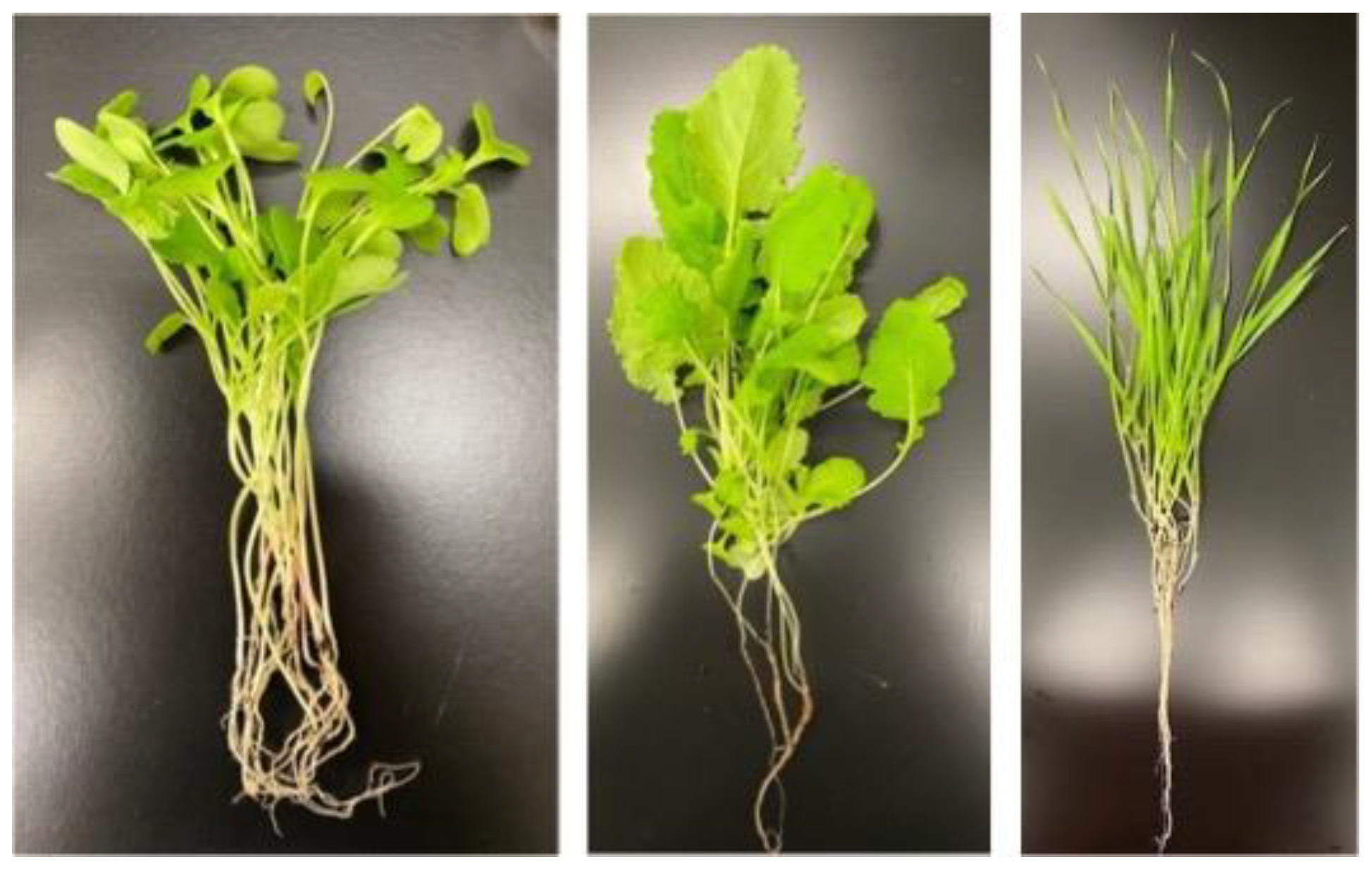 Cosmetics 11 00099 g001