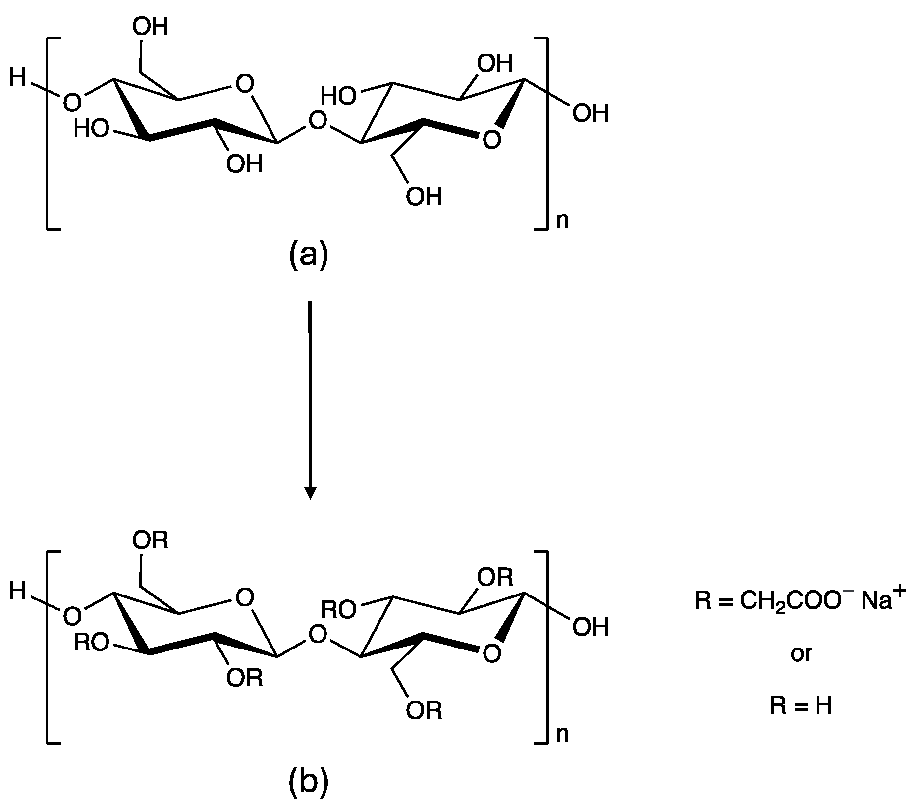 Cosmetics 11 00099 g006